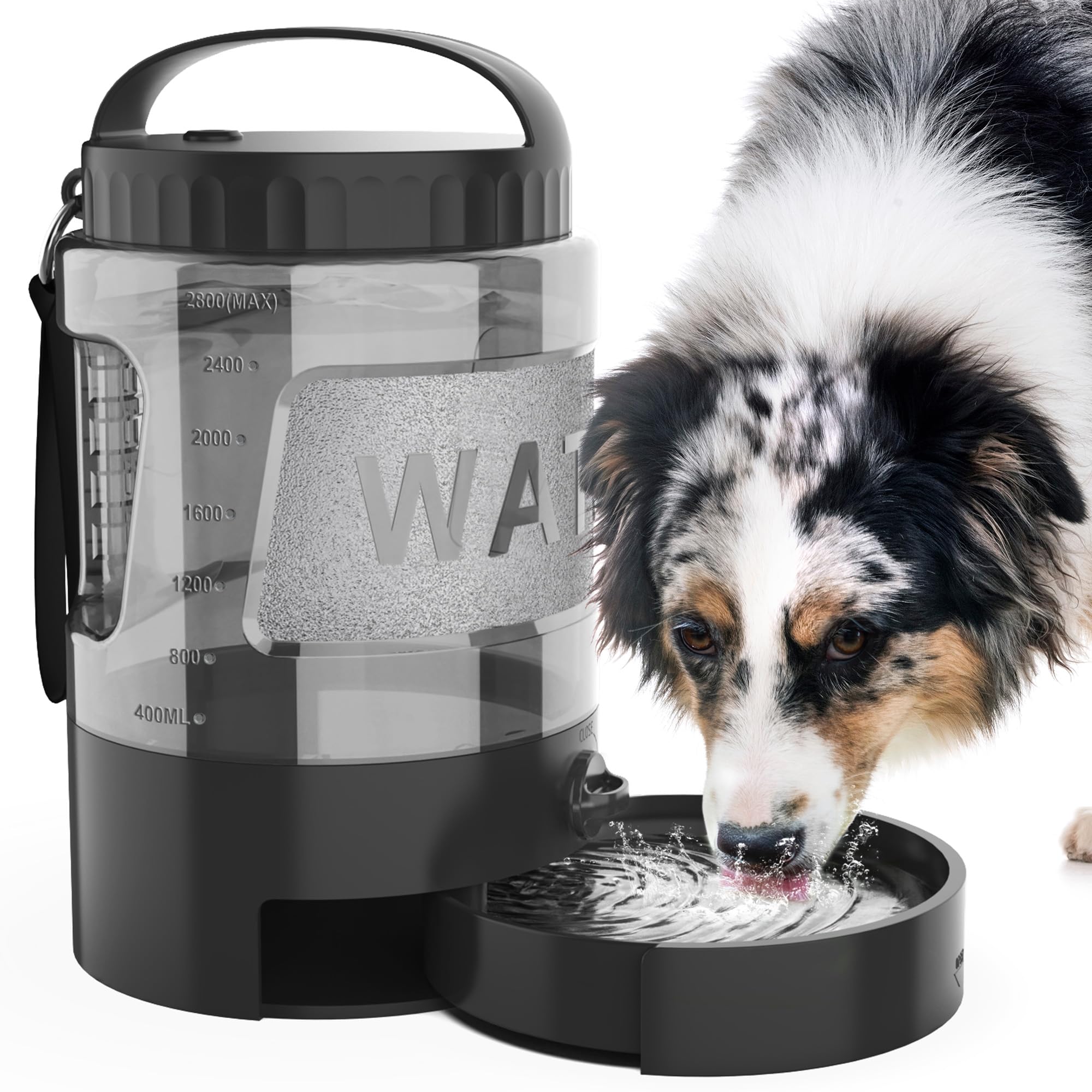 lesotc Borraccia per cani, 2800 ml, portatile, XXL, extra grande, per i viaggi, campeggio e viaggi per cani di grossa taglia (nero)