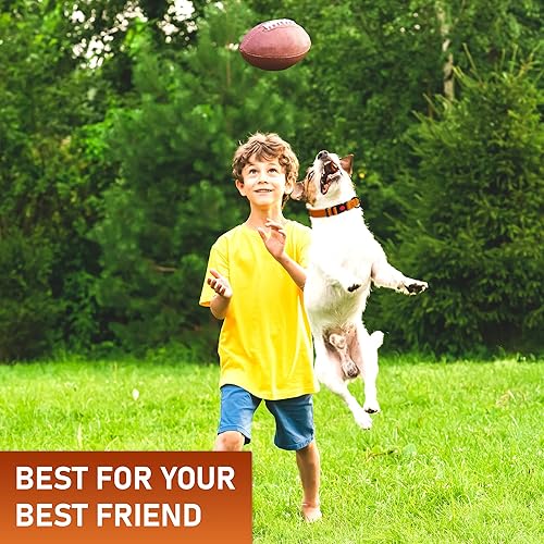 Miniatura 9 de NexaPaw Collar ajustable para perro con hebilla de bloqueo de seguridad, fabricado en Estados Unidos, collar de perro resistente al agua con panal