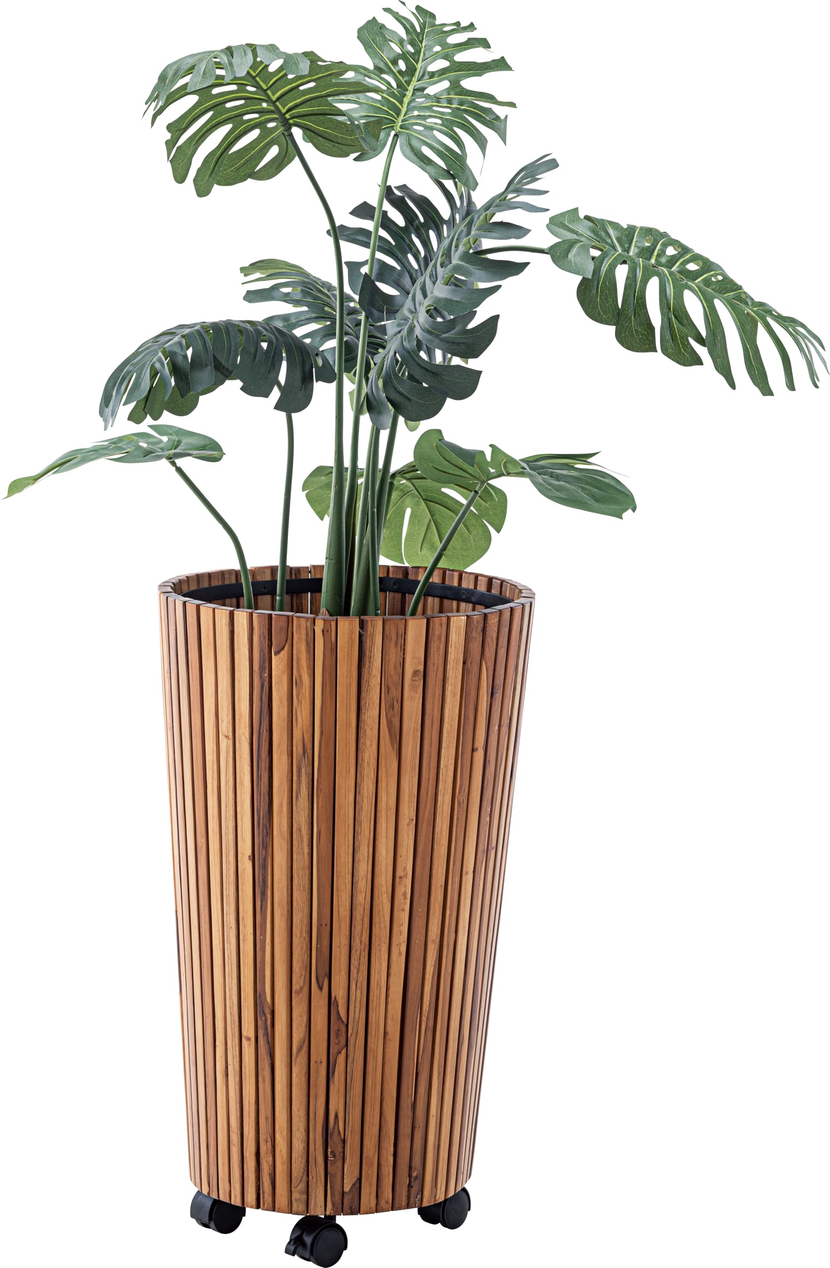 Amazon | フェイクグリーン クワズイモ ‎グリーン | 東谷(Azumaya-kk