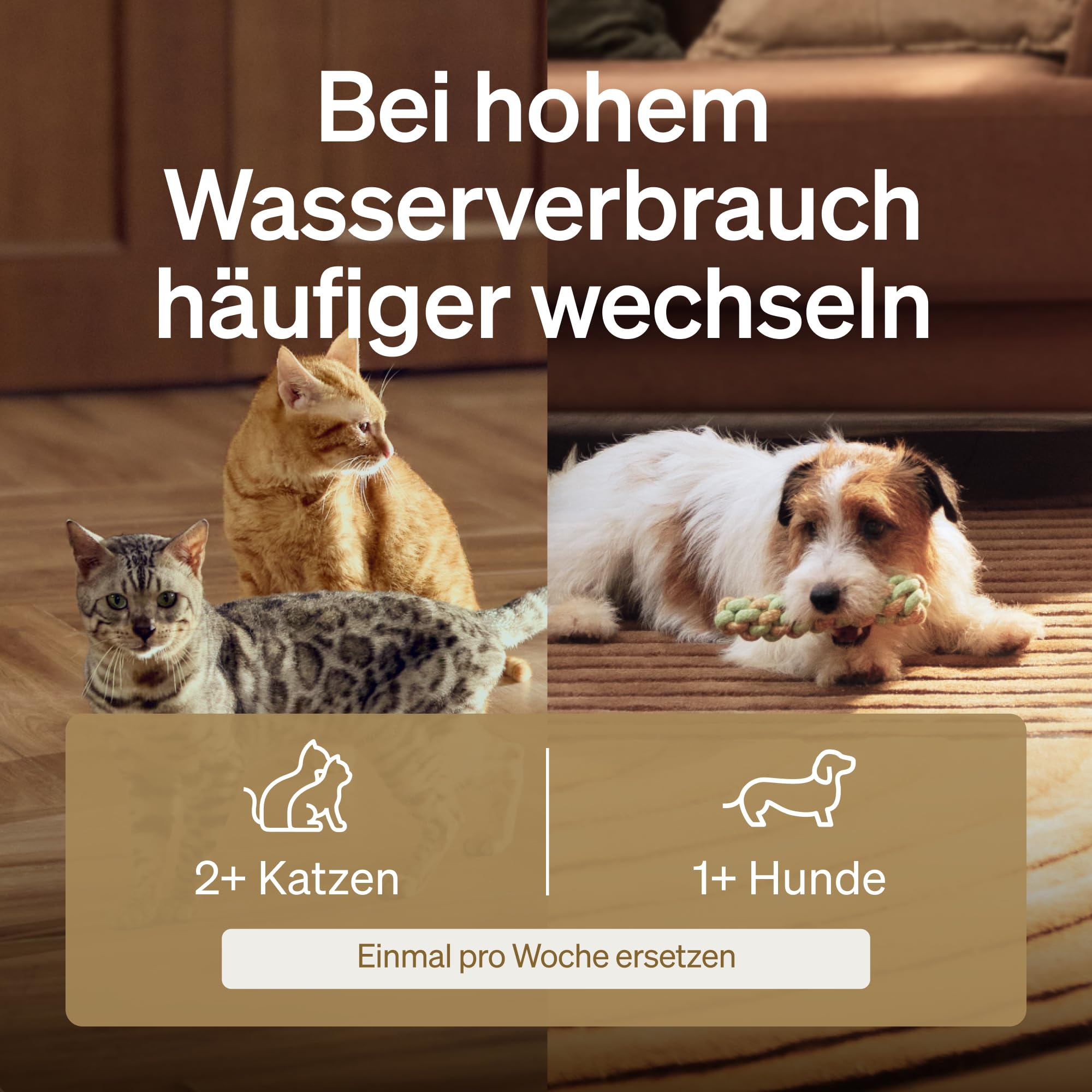 PETLIBRO Filter Katzenbrunnen 8er Pack für Dockstream Trinkbrunnen für Katze PLWF115, PLWF116, PLWF106, PLWF005, 4-Monats-Set Ersatzfilter für Katzentrinkbrunnen