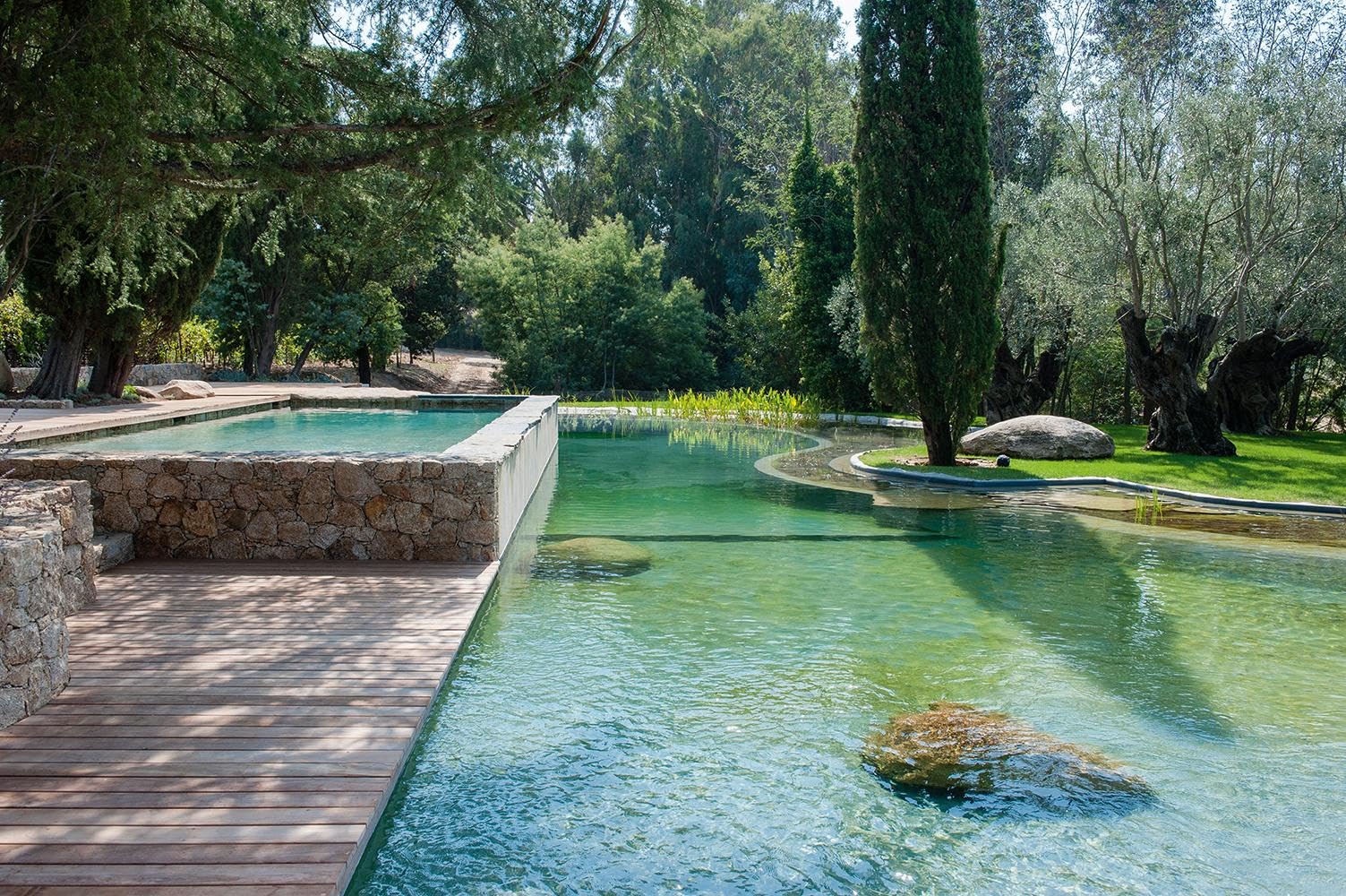 Wasser im Garten 2 - Das große Ideenbuch (Garten- und Ideenbücher BJVV):