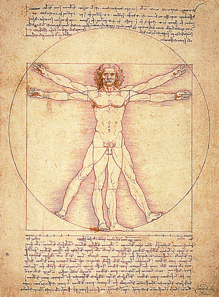 El Hombre de Vitruvio | Leonardo Da Vinci | Renacimiento | Cuadro Canvas Wall Art | Impresion Giclee lienzo algodon puro | Bastidor 3cm | 55x75cm