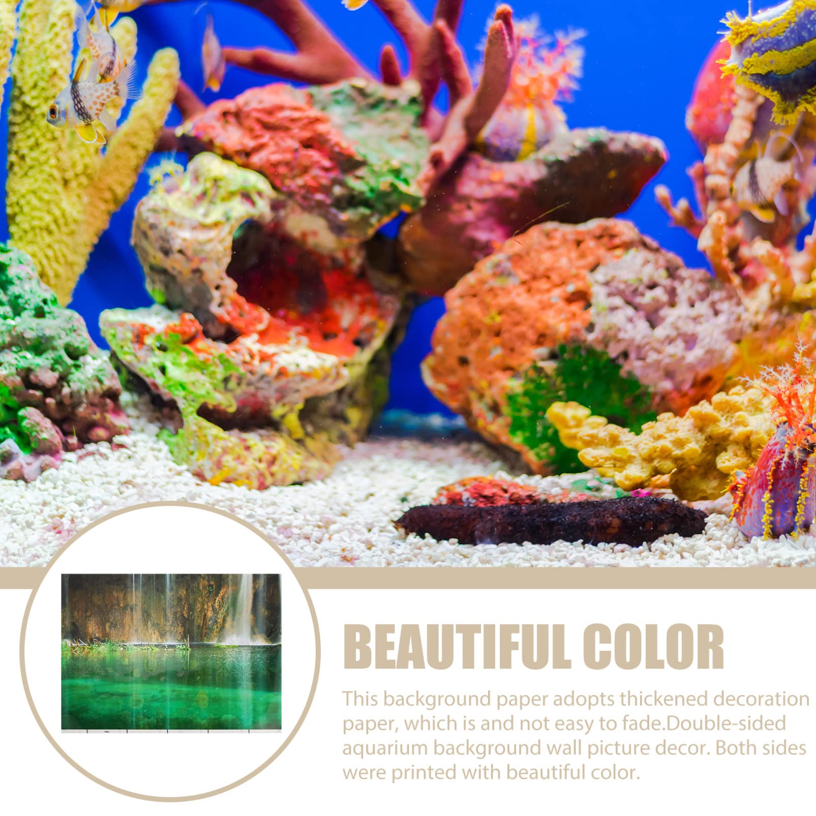 How Big Is A 10 Gallon Tank Wallpaper For Iphone