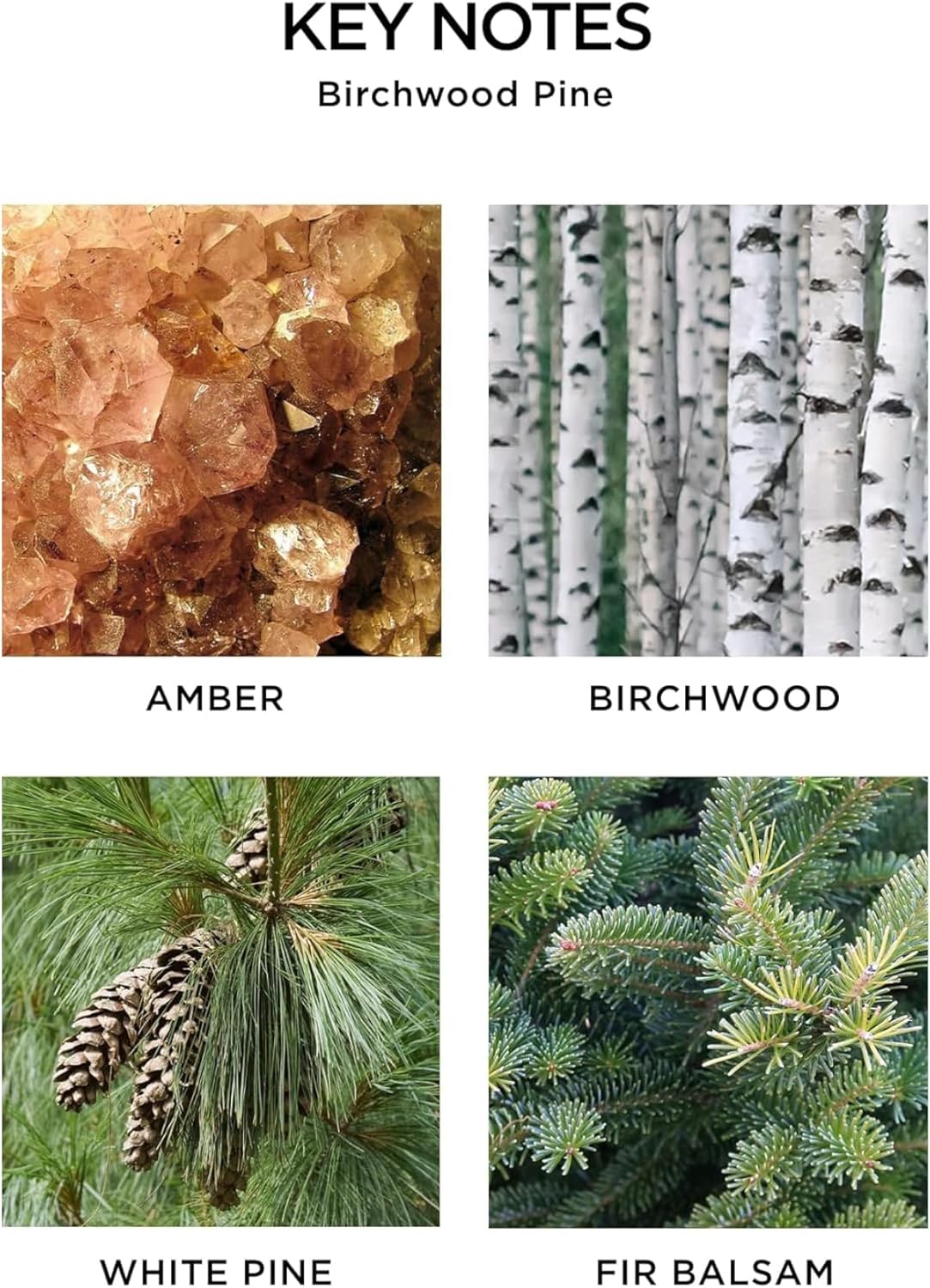 NEST New York Festive Petite Diffuser Trio - 1.3 fl oz Each - Includes Holiday, Birchwood Pine, and Blue Cypress & Snow - Fragrance for Up to 90 Days - Includes All-Natural Reed Sticks - Flame Free - Image 4