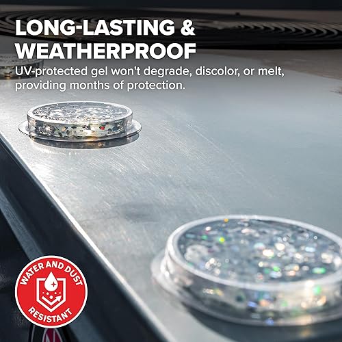 Vista 5 de Bird B Gone SpectrumV Gel holográfico para pájaros, gel repelente de aves, repele pájaros, protege bordes, repisas, techos, etc., protección UV