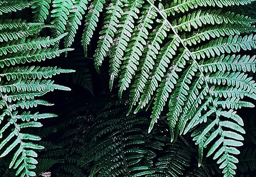 Miniatura 4 de artgeist Mural de pared prémium efecto 3D, 177 x 124 pulgadas, papel tapiz no tejido XXL, papel tapiz de forro polar, impresión fotográfica, diseño