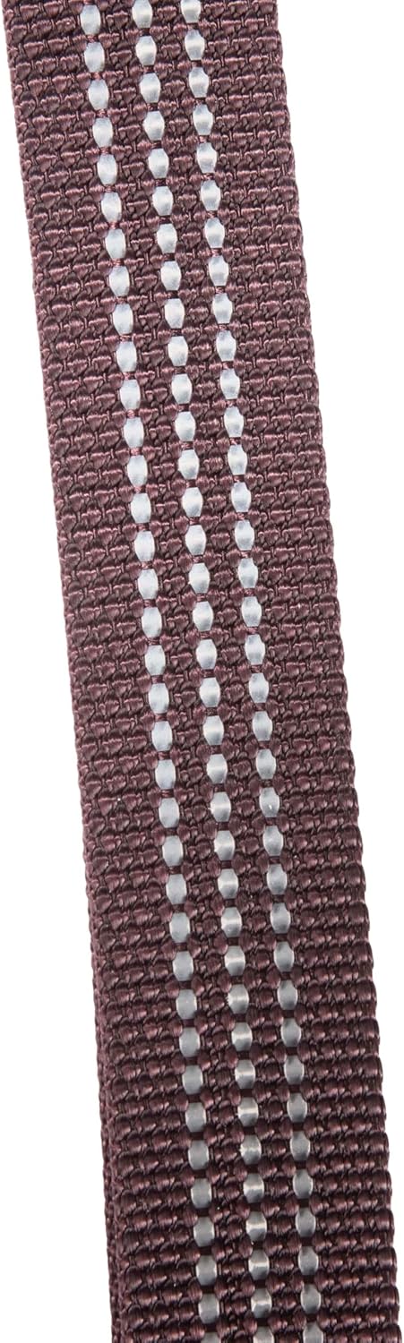 Carhartt Nylon Webbing Dog Collar, Fully Adjustable W/Durable Side Release Buckle and Reflective Stitching, Deep Wine, Large