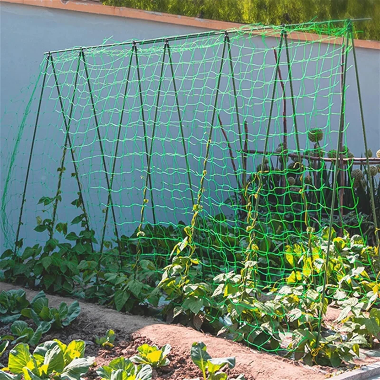 HeavyDu, rete a traliccio da giardino, 1,8 x 2,7 m, in poliestere, supporto per piante, rete quadrata per piante rampicanti e vetables, rete per coltivazione all'aperto
