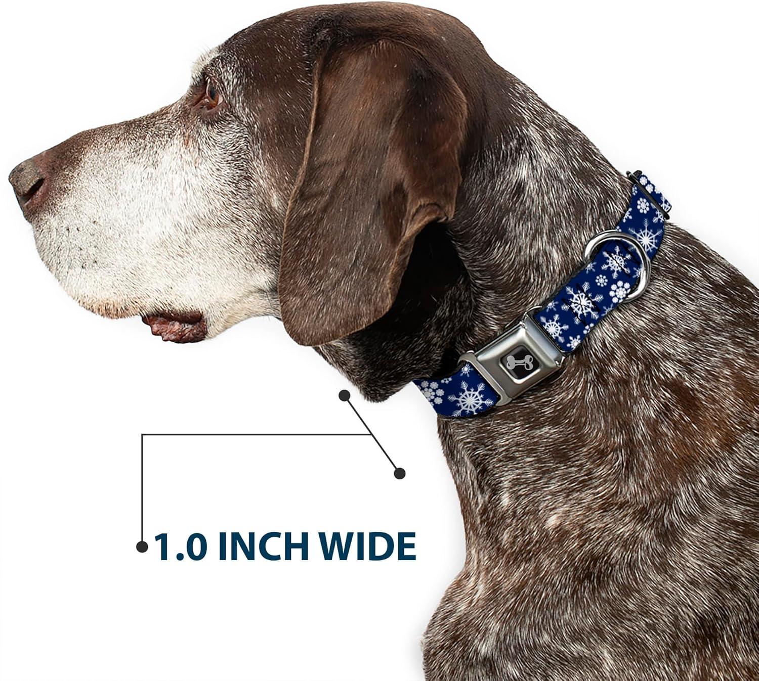 Dog Collar Seatbelt Buckle Snowflakes Blue White 15 to 26 Inches 1.0 Inch Wide