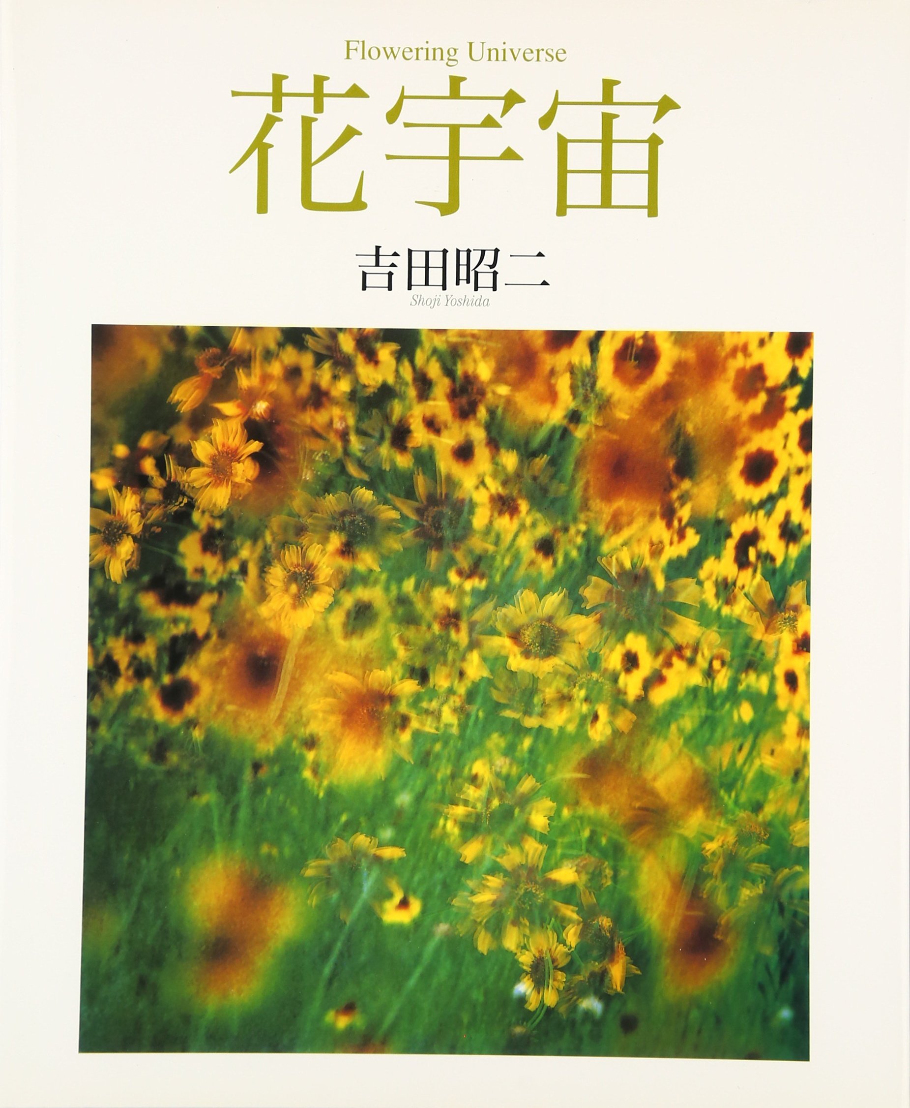 宙花 宙花 信濃 宙花 on X:
