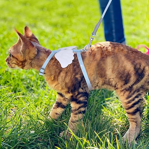 Miniatura 6 de TIESOME Juego de arnés y correa para gato, arnés ajustable degradado para gatito, arnés a prueba de escapes con correa para caminar al aire libre