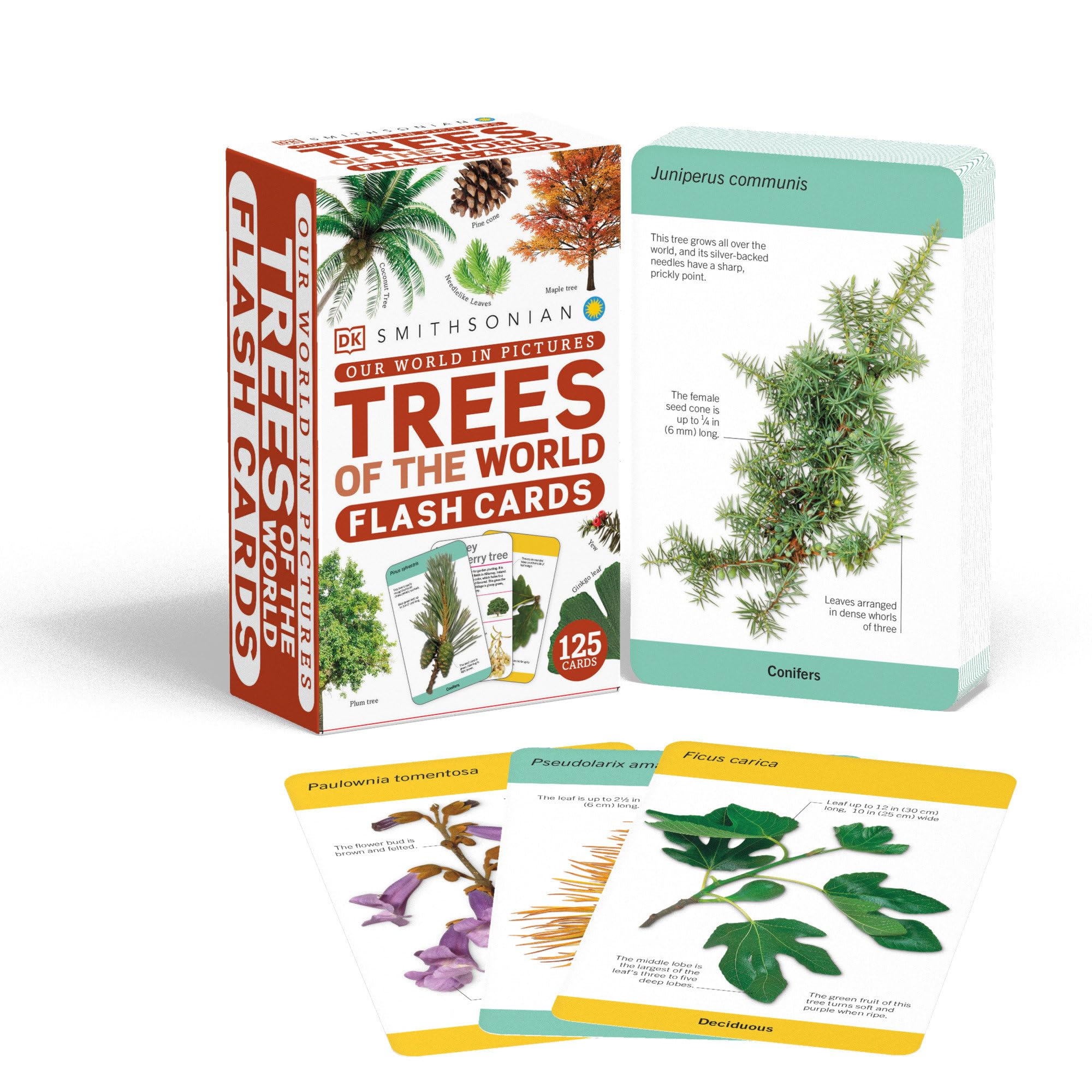 Our World in Pictures Trees of the World Flash Cards (DK Our World in Pictures)