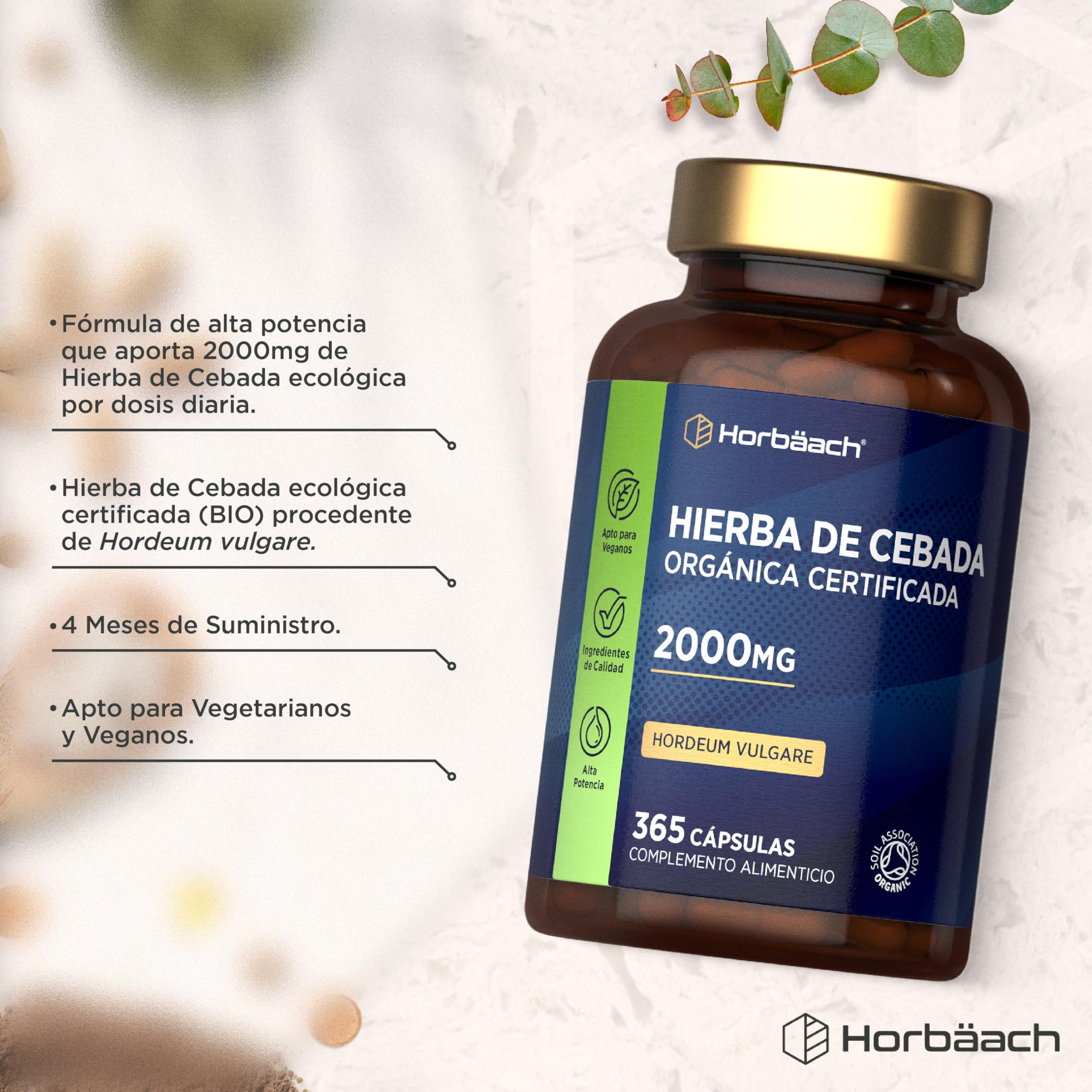 Cebada Cápsulas Bio 2000mg | Cebada en Polvo Encapsulada | 365 Cápsulas Veganas Orgánicas | con Certificado Orgánico | Organic Barley Grass | Horbaach