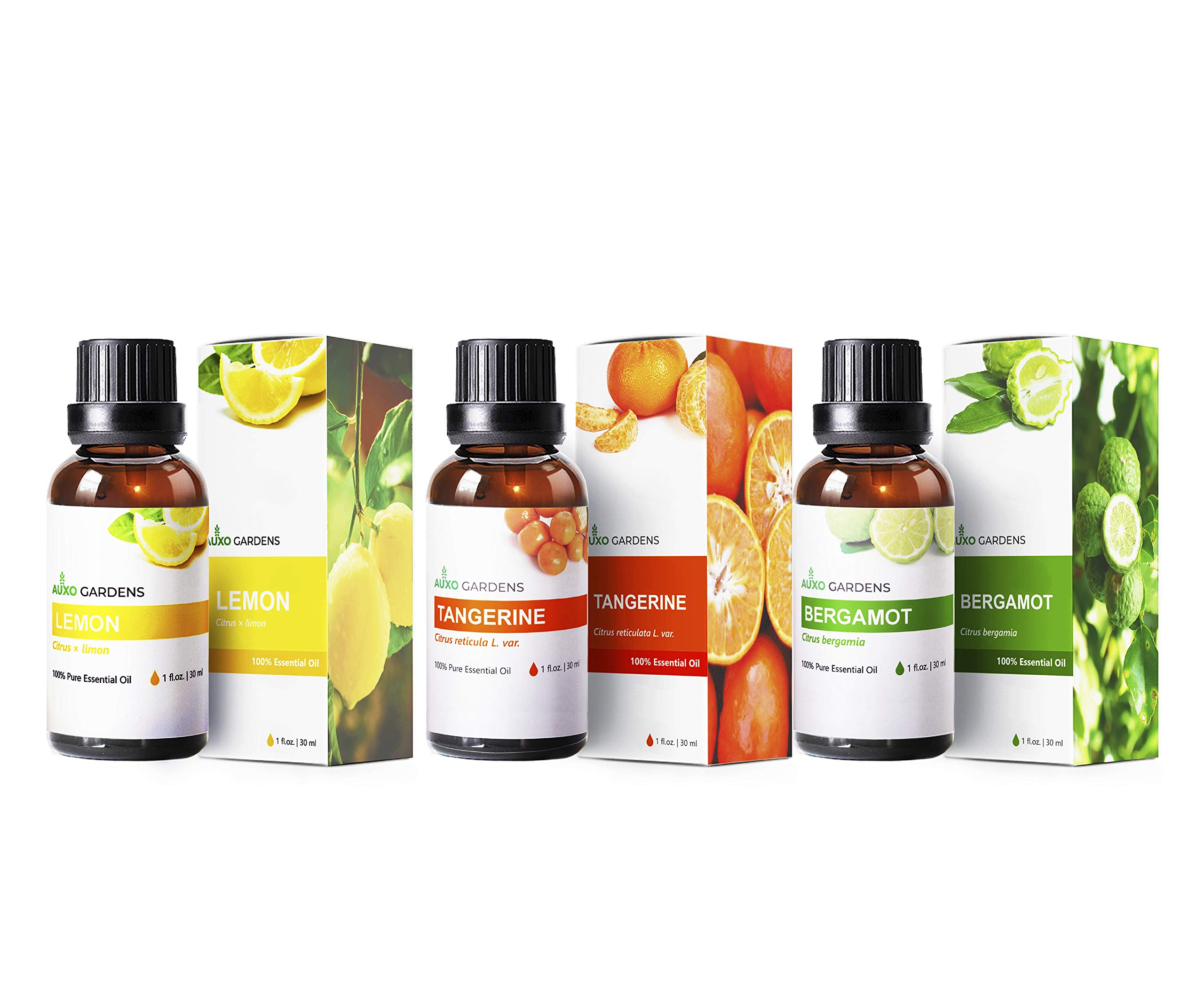 Citrus Essential Oil Set-Pack of 3,Large 1 oz.(30ml), Pure Therapeutic Grade Fruity Essential Oils (Lemon, Tangerine, and Bergamot)