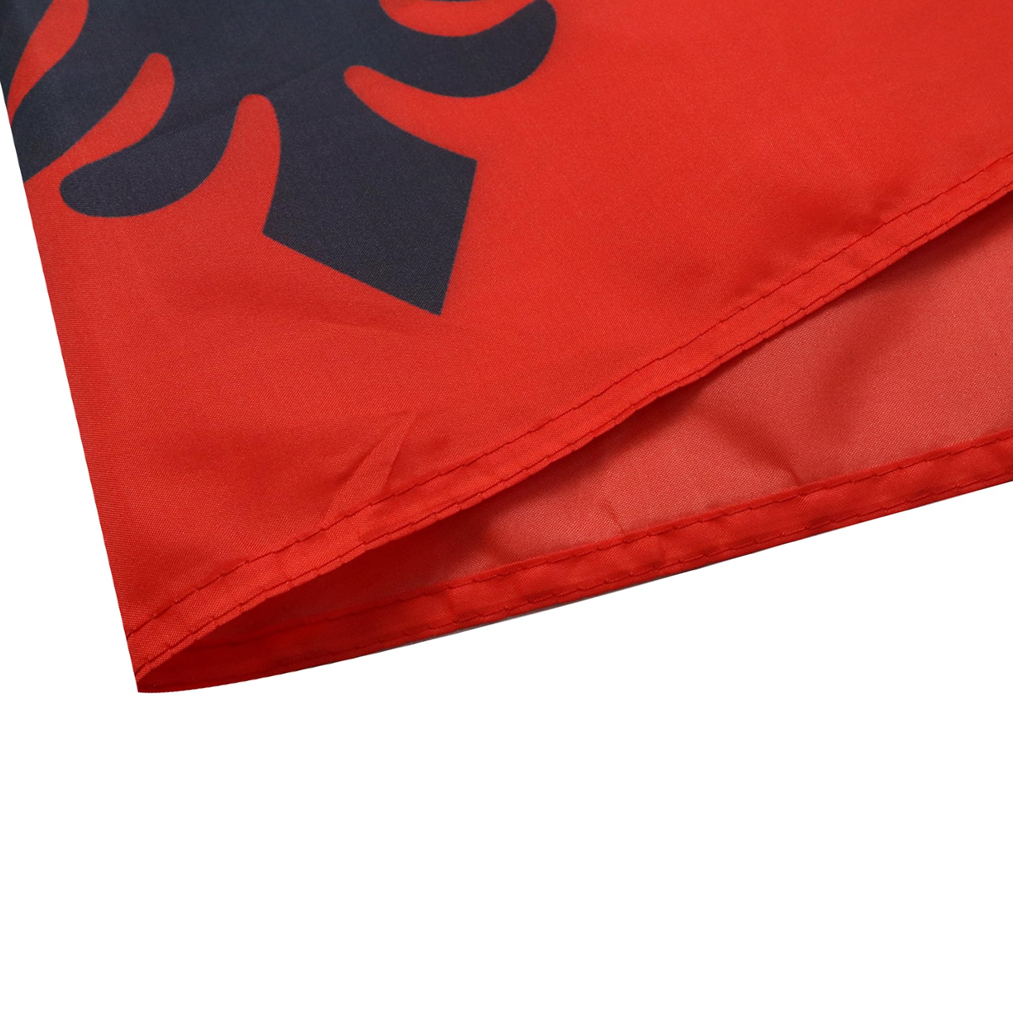 希少品！BIG アルバニア共和国国旗　東ヨーロッパ　ヴィンテージインダストリアル 希少品！BIG アルバニア共和国国旗 東ヨーロッパ ヴィンテージ