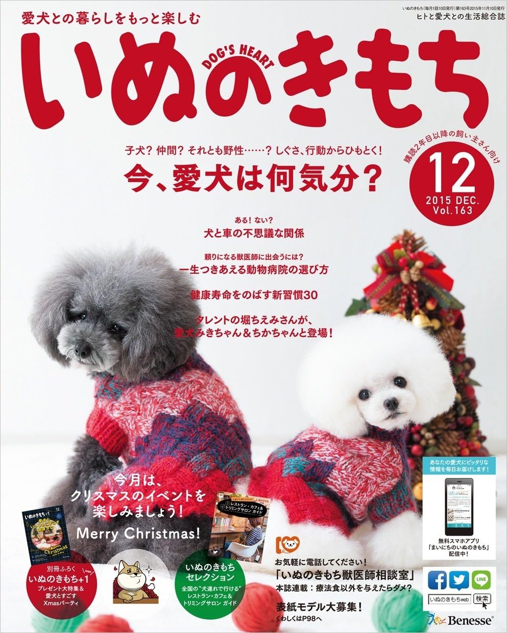 Amazon いぬのきもち ベテラン 12月号 いぬのきもち ねこのきもち メモリアル用品 通販