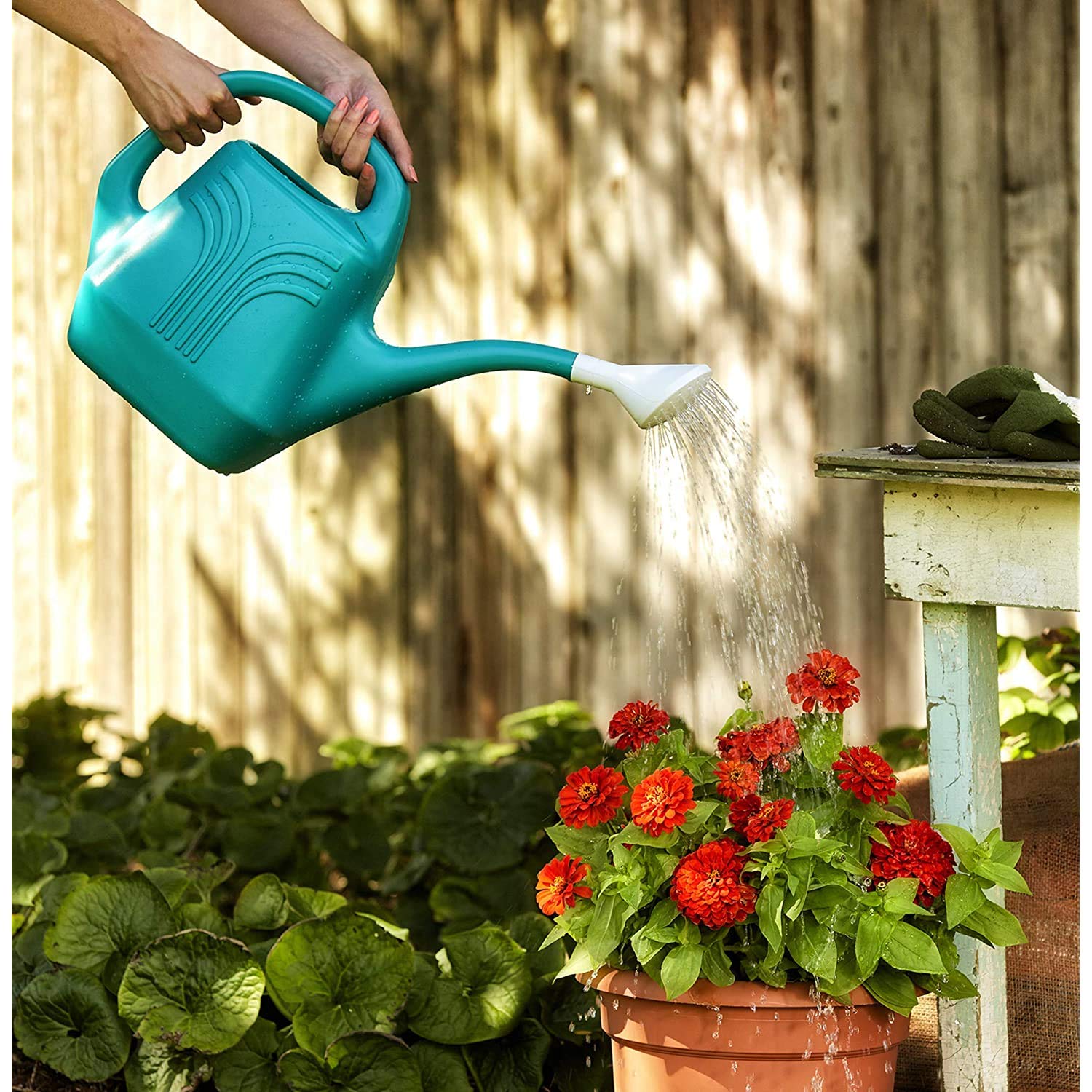 Bloem Watering Can, (2 Gallon)