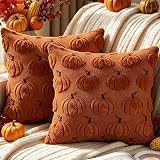 Benjia 45 x 45 Jesienne Poszewki na Poduszki Zestaw 2szt., Dynia Dekoracyjne Poszewki 45 x 45 Wakacje Poszewki na Poduszki na Jesień Święto Dziękczynienia Halloween Salon Sypialnia Sofa (Brązowy)