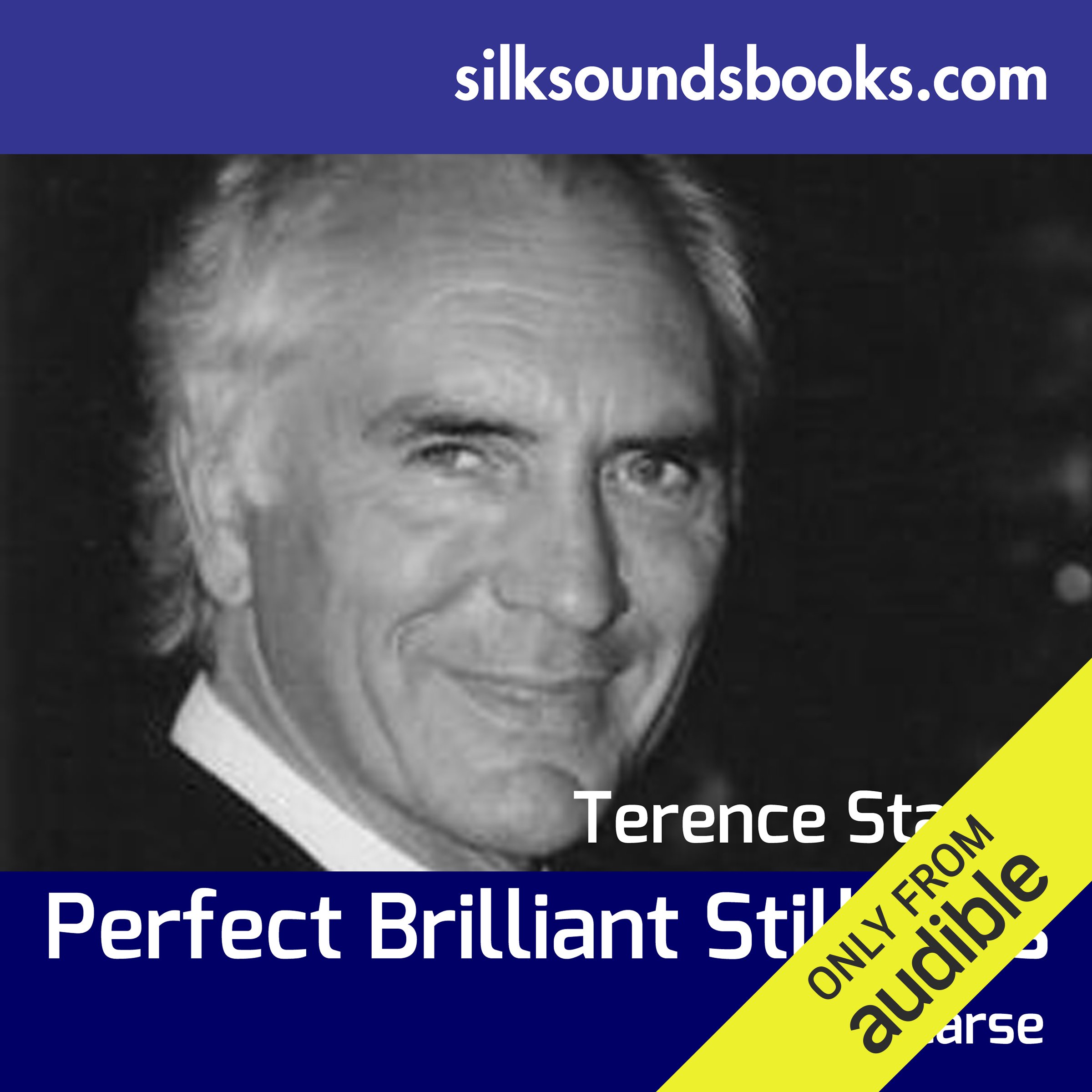 Cover art for Perfect Brilliant Stillness