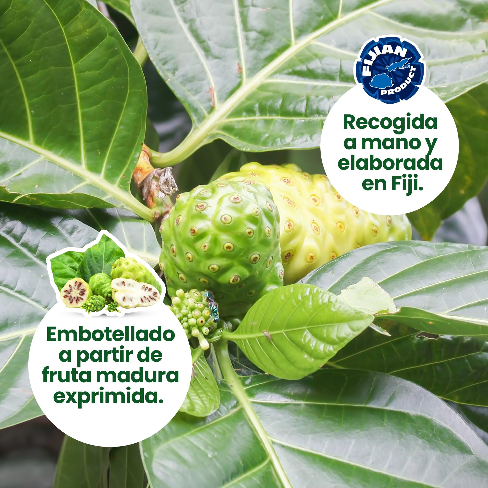 Zumo de Noni - 1 Litro. 100% Puro y Orgánico sin conservantes - Ayuda cuando hay inflamación, dolor y potencia el sistema inmune.