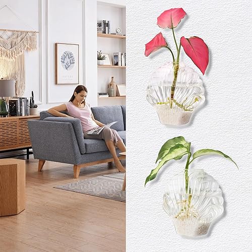 Miniatura 17 de Kingbuy Octagon Wall-Mounted Propagation Vase - 2 Pack Clear Glass Planters for Hydroponic Plants & Flowers, Indoor Wall Plant Holder, Unique Home
