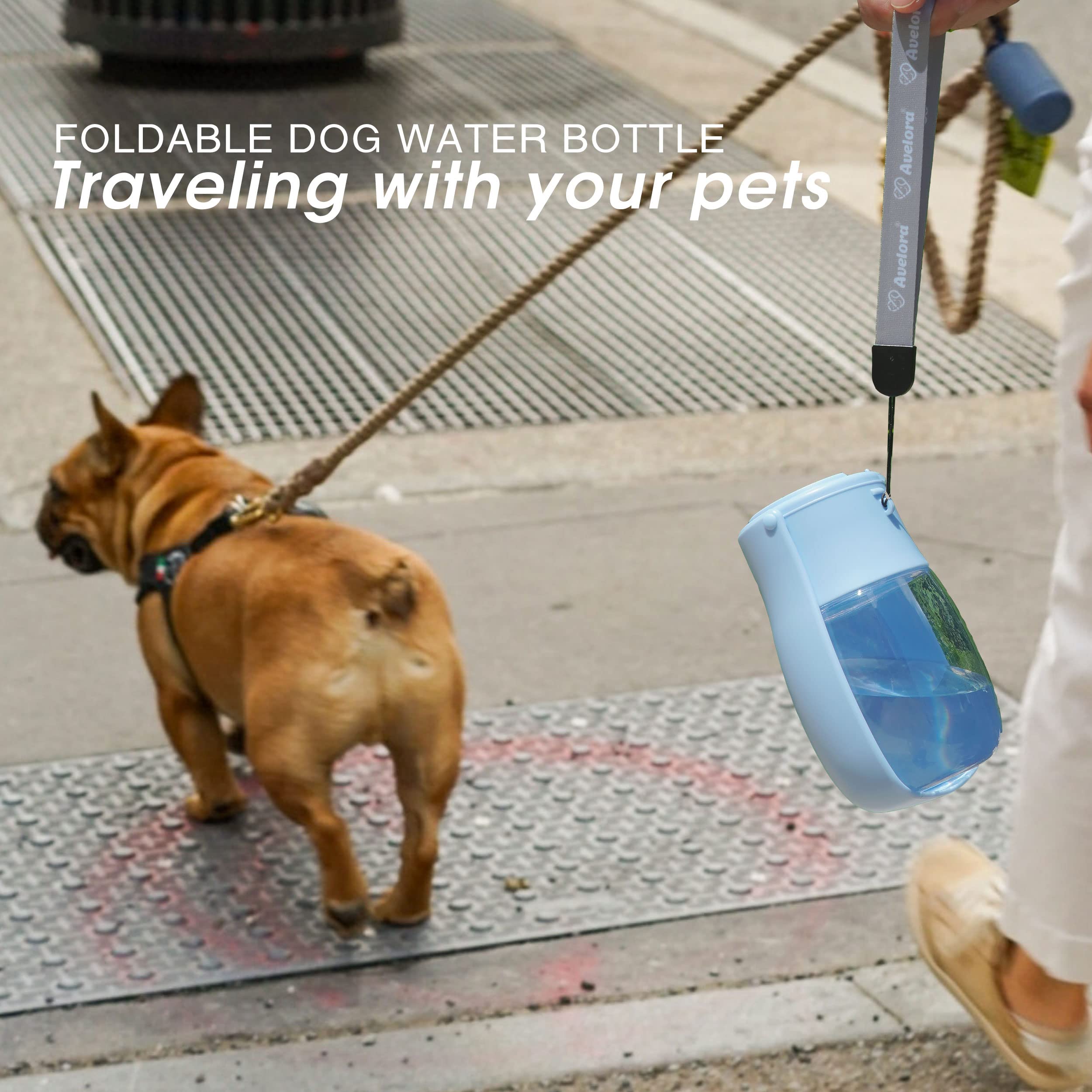 Faltbare Hunde-Wasserflasche, tragbarer Wasserspender für Hunde, Katzen, Kaninchen, Welpen und andere Kleintiere zum Spazierengehen, Wandern, Reisen. Spülmaschinenfest, Welpenzubehör, 284 ml