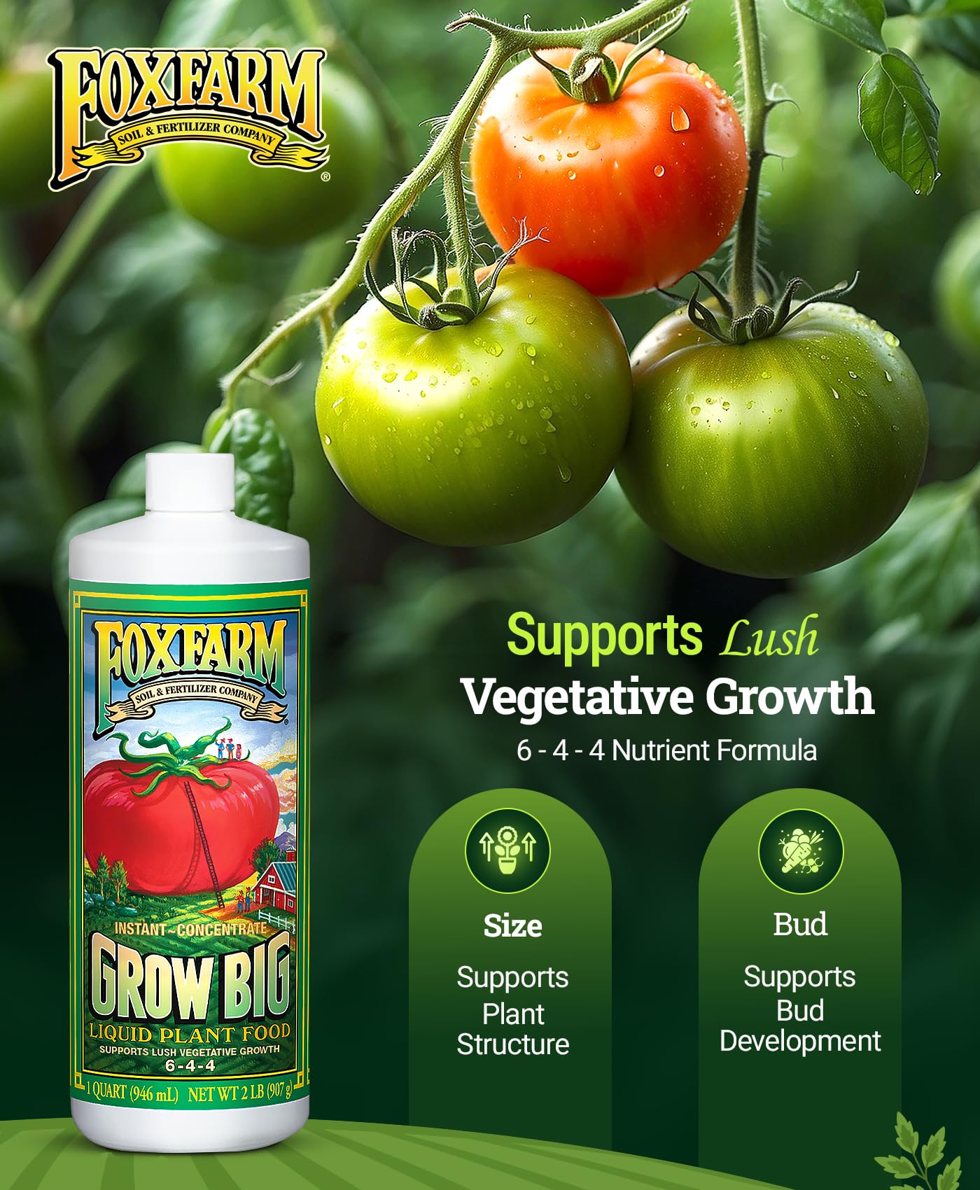 FoxFarm FF79020 Grow Big Liquid Concentrate 6-4-4 Quart : Amazon