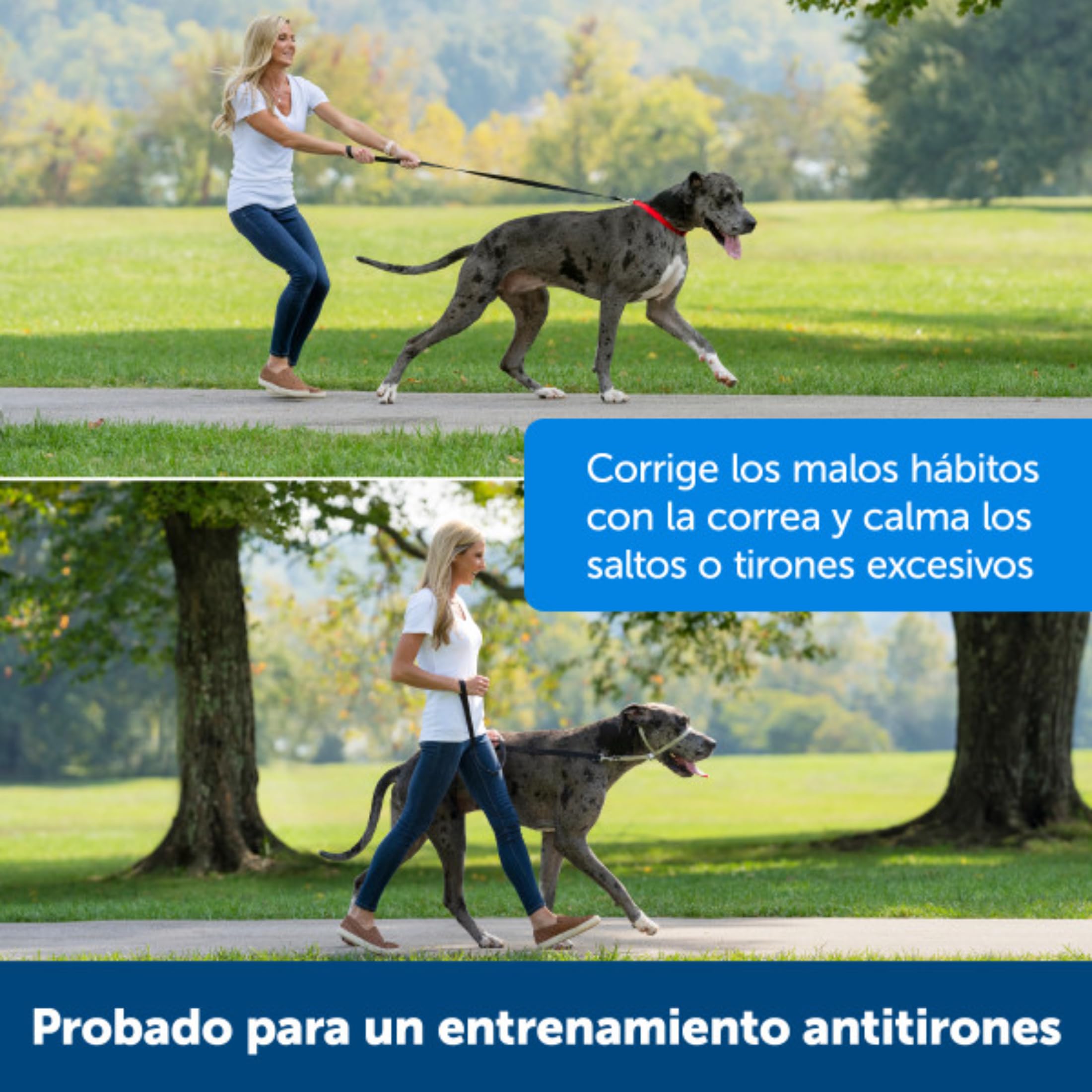 PetSafe Easy Walk – Bozal para Perros, Collar de Cabeza Antitirones para Perros, Ajustable, Acolchado, con Correa De Paseo Incluida, Negro, M