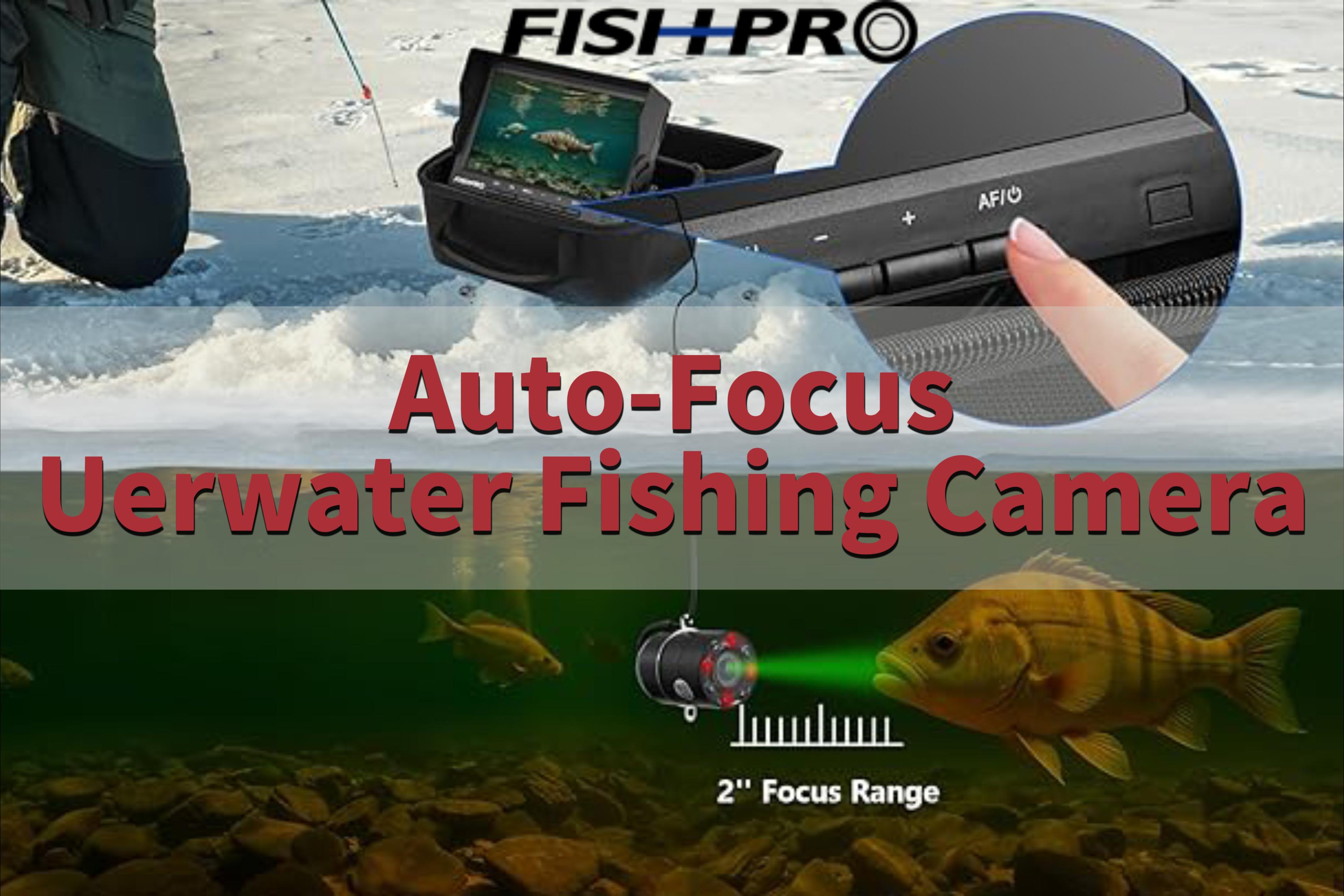 新品FR2 fishing New 2026 Phoenix 721 ZXL, 28117 Mooresville - Boat Trader