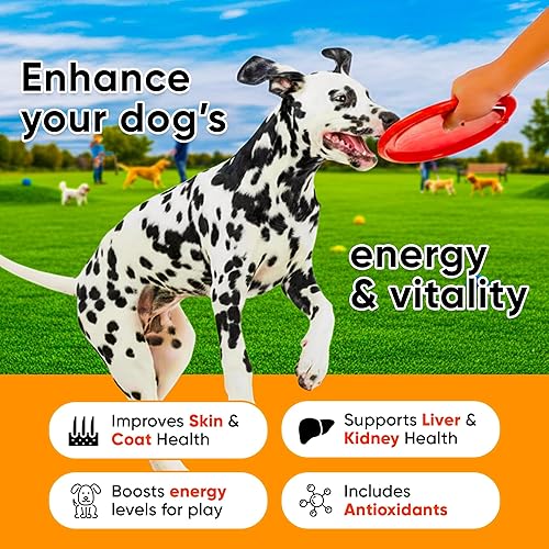 Miniatura 4 de Multivitamínico para perros 24 en 1 con glucosamina, vitaminas masticables para perros y suplementos para cadera y articulaciones, ideal para apoyo