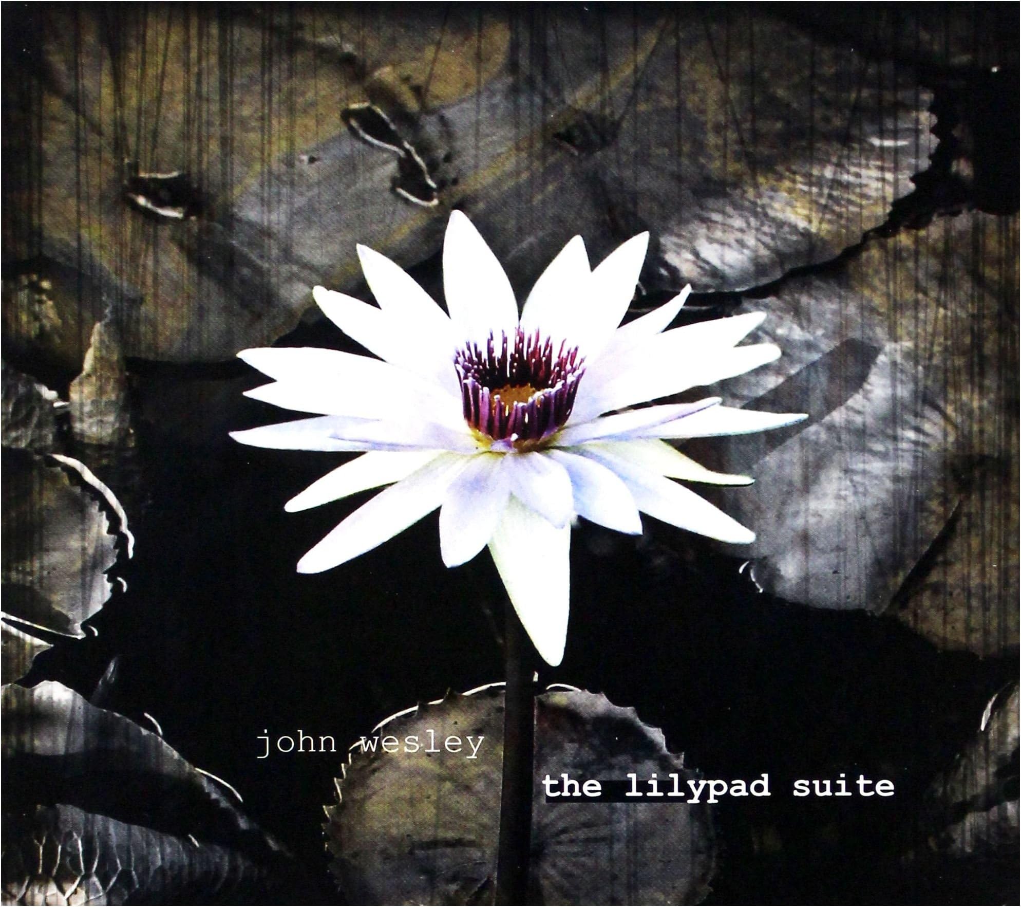 The Lilypad Suite