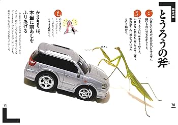 Amazon.co.jp: 新レインボー 写真でわかる四字熟語辞典 (小学生