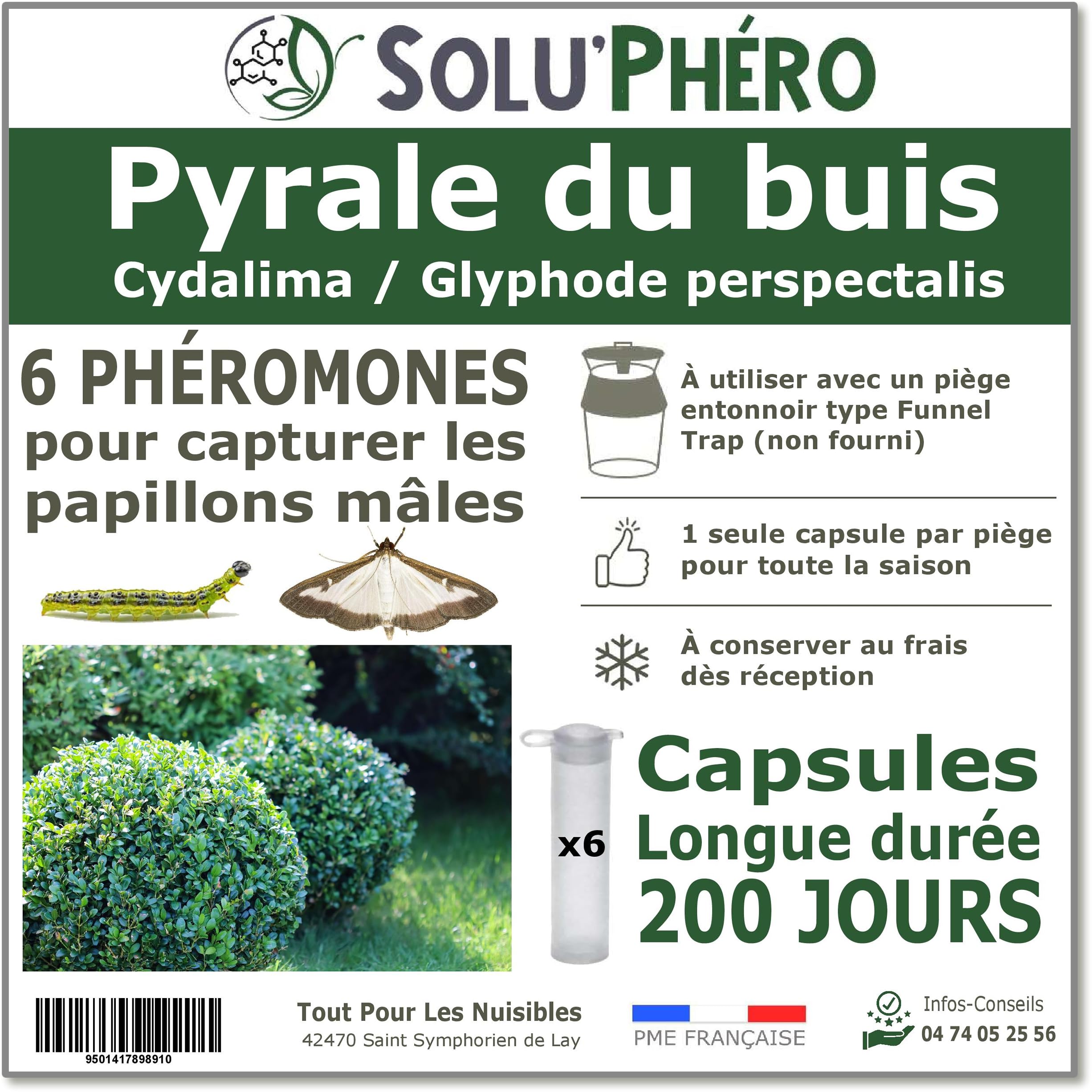 SOLUPHERO - 6 Phéromones Longues durées pour la pyrale du buis - 6 x 200 Jours