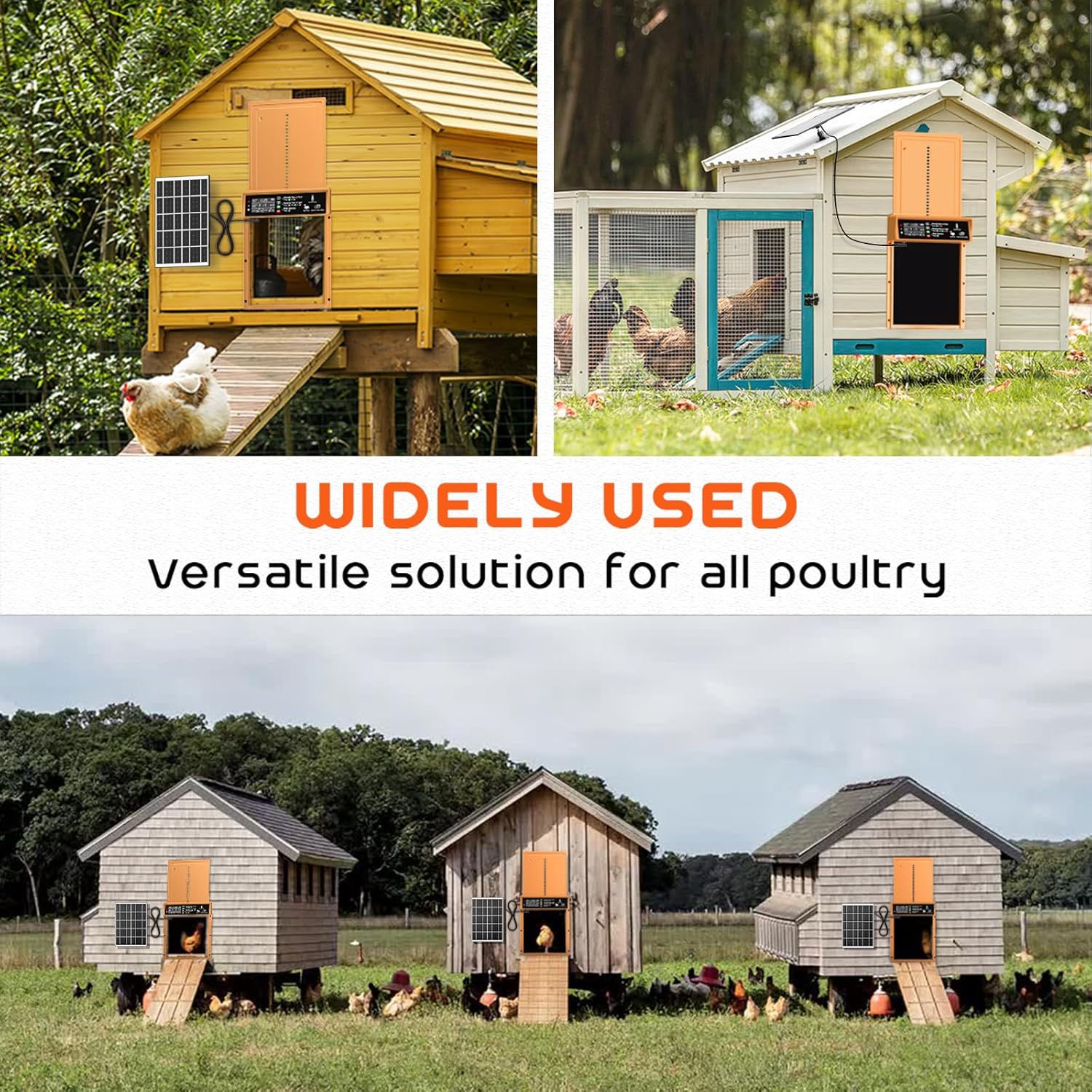 Asfrost Automatic Chicken Coop Door Solar Powered Automatic Chicken Door with Timer & Light Sensor, Anti-Pinch, Durable Aluminum Auto Chicken Door, Charge with 7W Solar Panel & USB - Orange