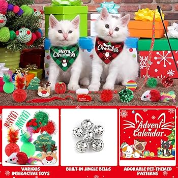ANOTION Cat Advent Calendar 2024-12 Days Of Christmas Countdown Cat