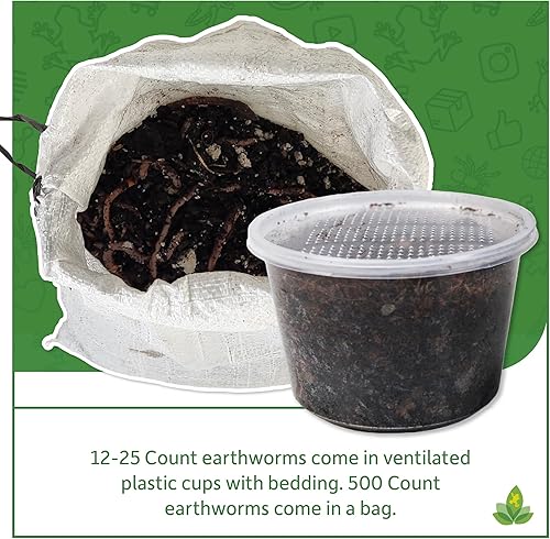 Miniatura 4 de Josh's Frogs Rastreadores nocturnosLombrices de tierra (Lumbricus terrestris, 12)