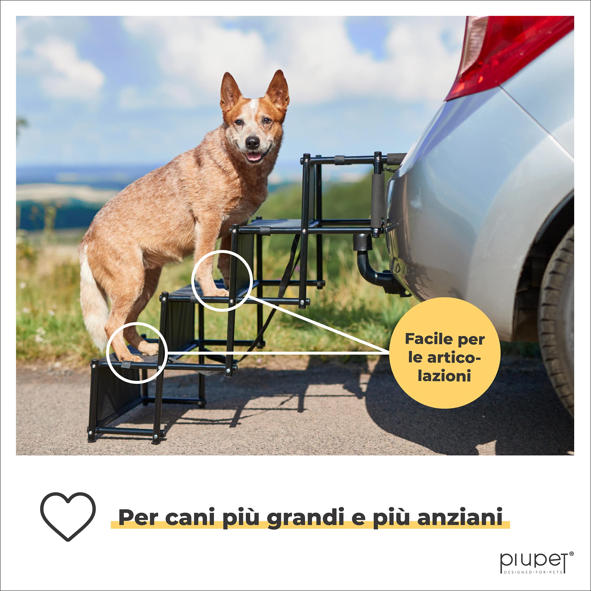 PiuPet® Rampa per Cani I Fino a 80 kg I Utilizzabile per Tutti i Veicoli I Grandi e Piccoli Cani I Pieghevole I Rampe per Auto | Rampe di Carico