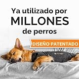 Ver la foto 2