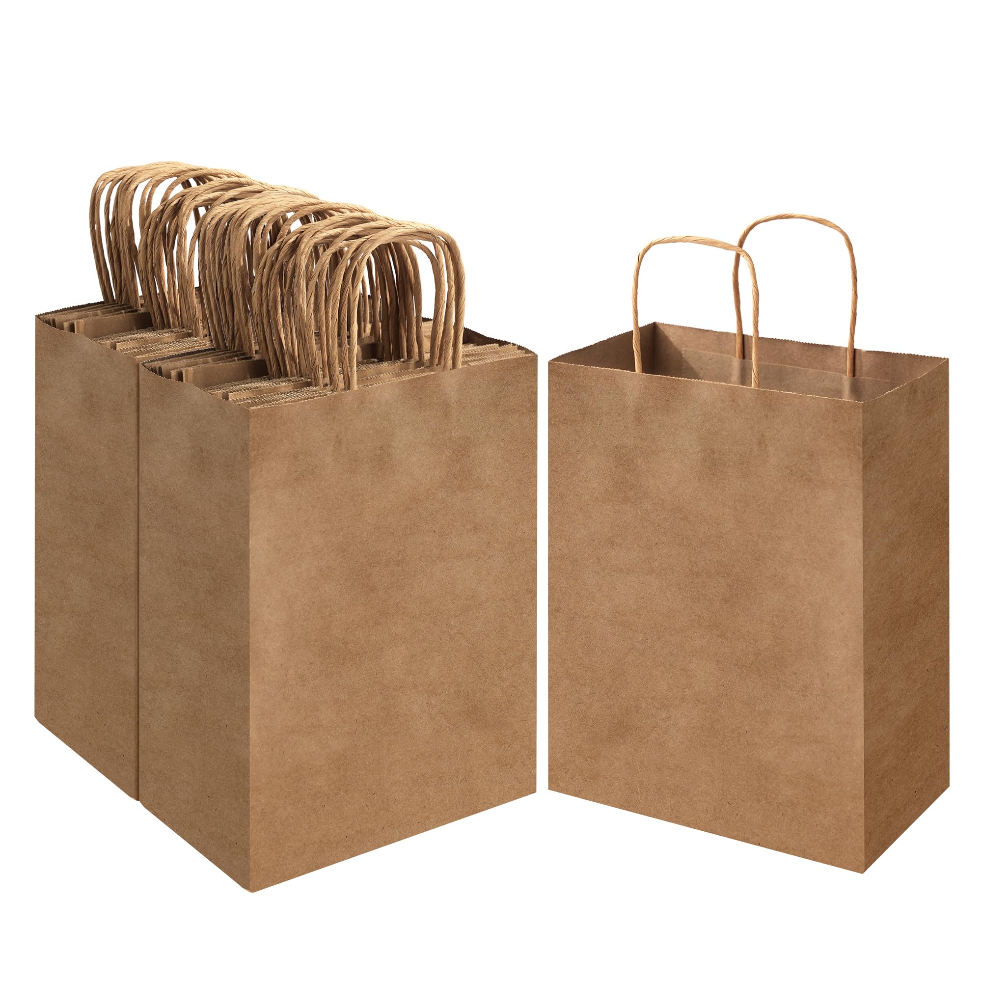 Photo 1 of ECOEXTRA Brown Kraft Paper Gift Bags with Handles, Medium (100 Pack)