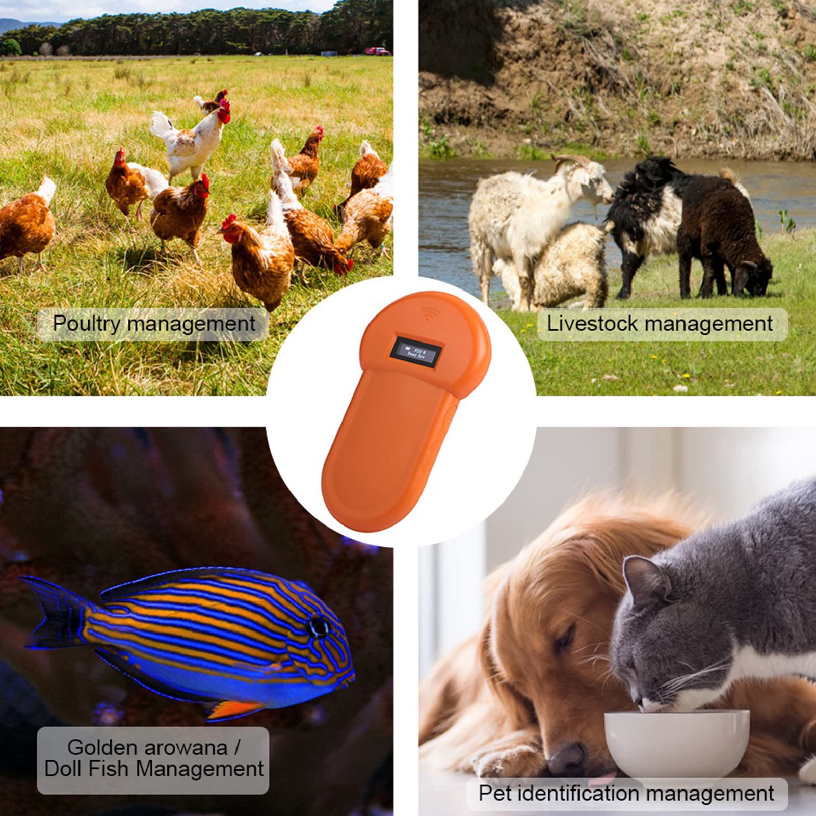 Dpofirs Scanner de Puce Pet, Lecteur de Micropuce, Lecteur d'animal de Puce D'identification ISO LCD 134,2 KHz RFID Chien Micropuce Scanner Portable pour Animaux de Compagnie pour Chats