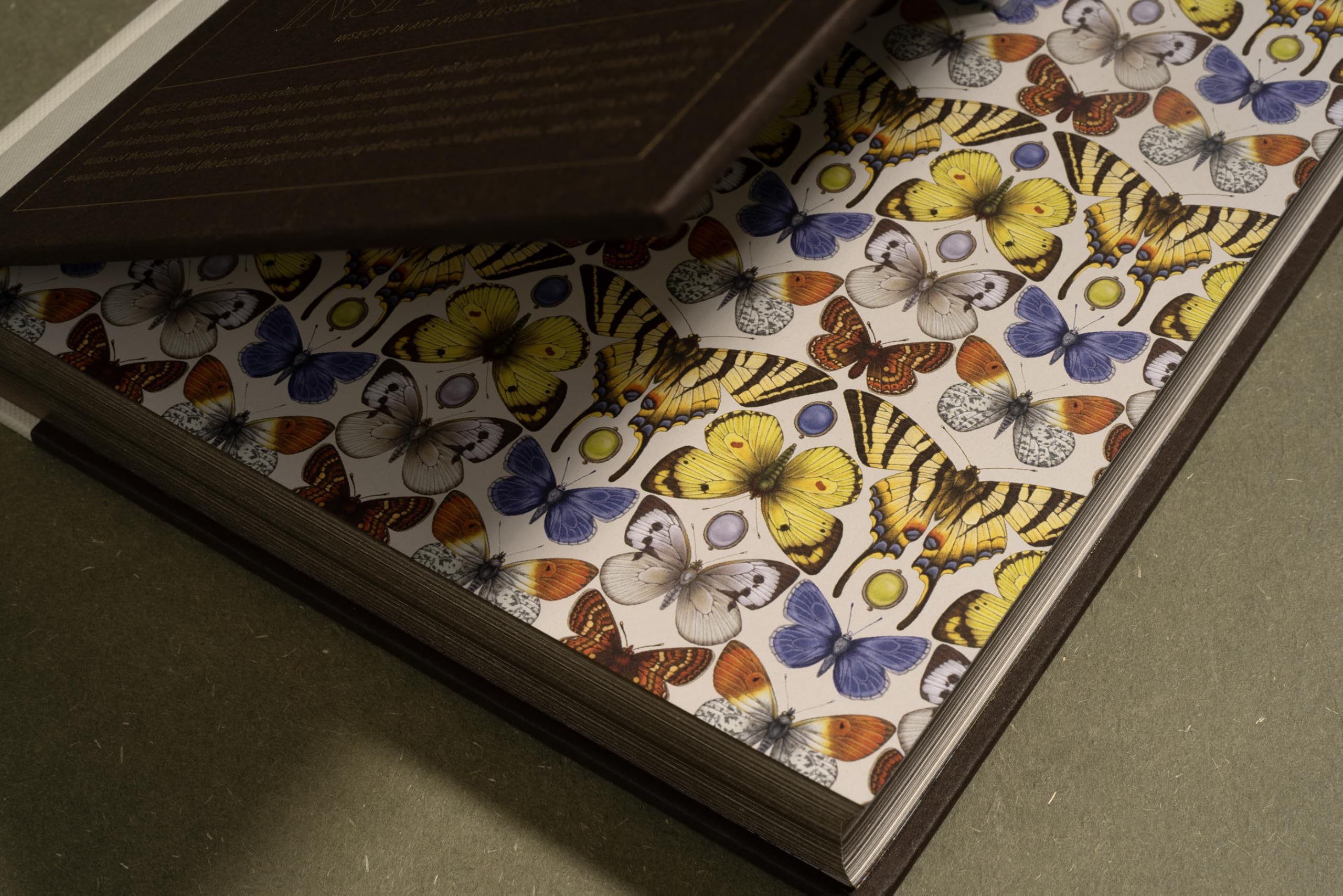 Insectile Inspiration: Insects in Art and Illustration /anglais