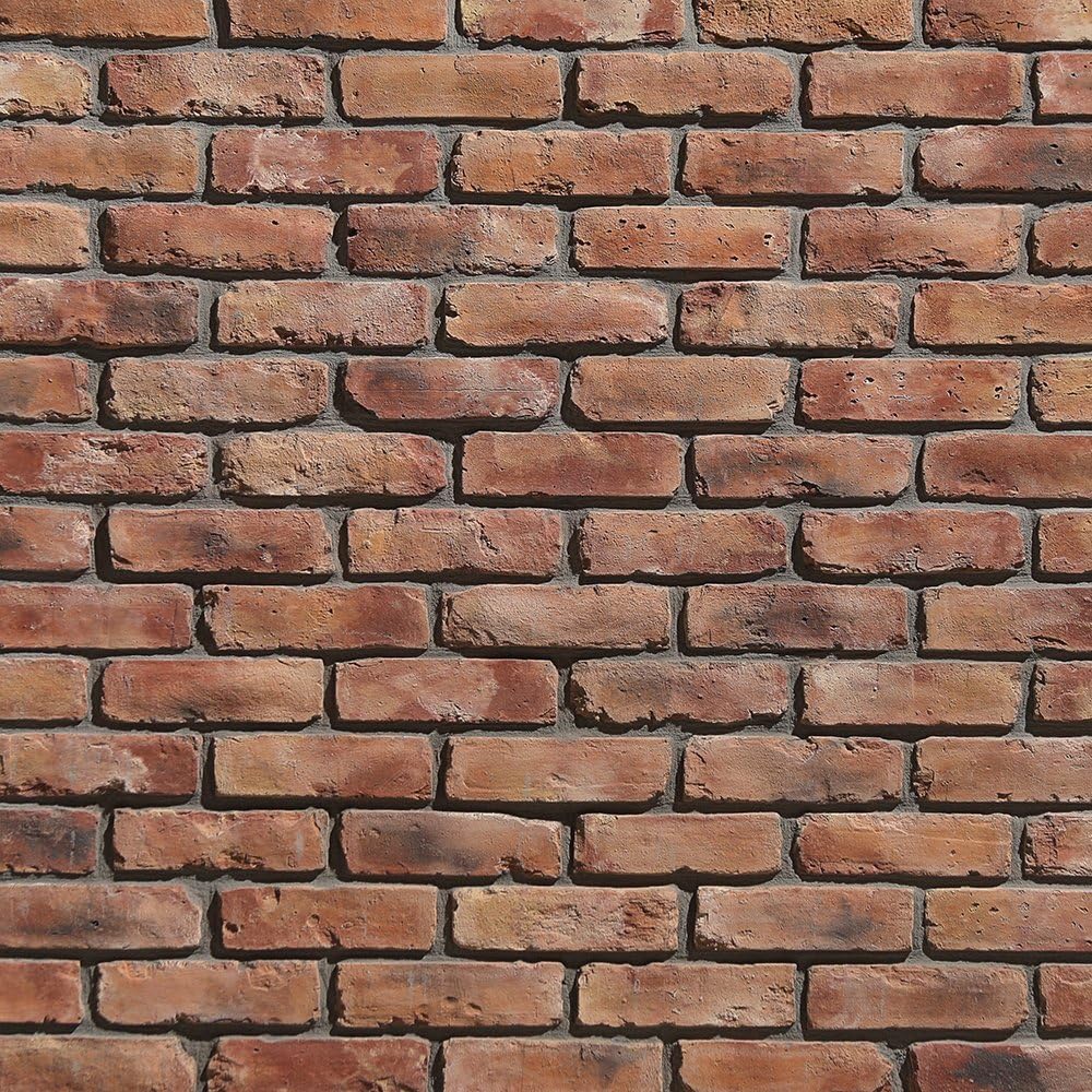 Koni Brick Old Chicago Rosse 10.76 sq. ft. Flats 0.65 in. x 8.20 in. x 2.50 in. Thin Brick