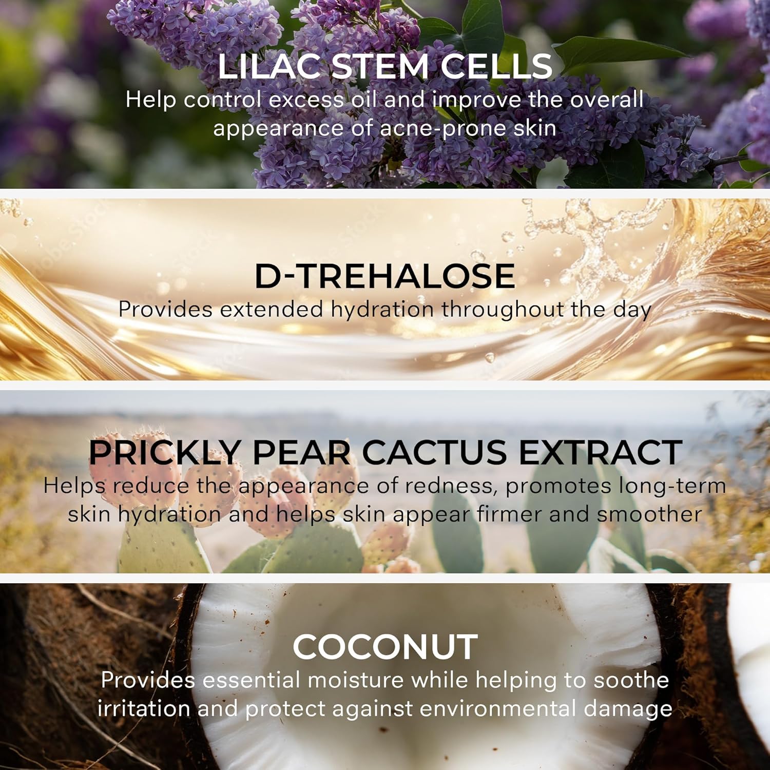 COSMEDIX Shineless Oil-Free Face Moisturizer – Hydrating Cream with Vitamin B3 for Oily & Blemish-Prone Skin – Lightweight Daily Face Care for Firm, Smooth & Radiant Glow – 79 g / 2.8 oz - Image 3