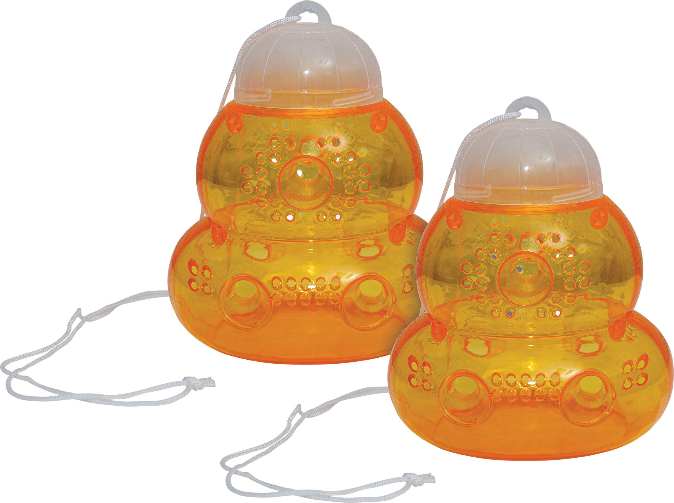 Netagon Non-Toxic Bees, Yellow Jackets, Wasps & Hornets Catcher Killer Bait Trap (Safe around children, family pets and wildlife) (Pack of 6)