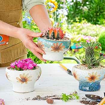 ★新品 Supreme Mini Planters (Set of 3) Supreme Mini Planters Planters (Set of 3) Multicolor - SS25 - US