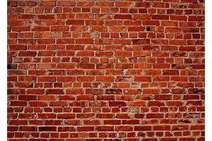 BELECO Brick Wall Photography Backdrop for Party Decorations