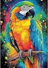 DAERLE DIY Diamond Painting Kit for Beginners Colorful Parrot, 5D Diamond Painting Kit Adults, Bird, Cross Stitch Diamond Canvas 30x40cm
