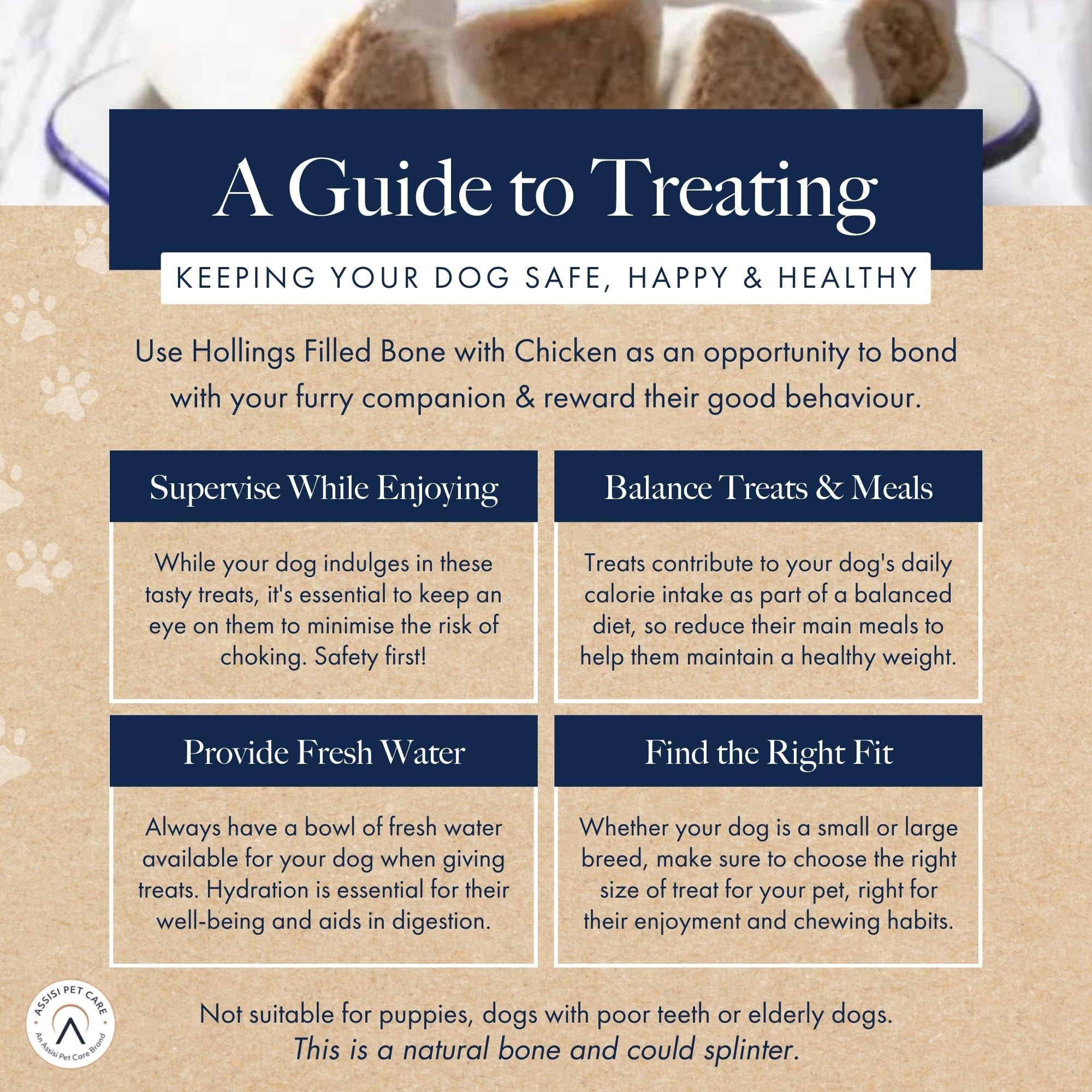 Hollings pour Chien
