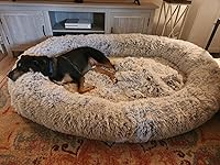 Review Image by Mollie Mollie