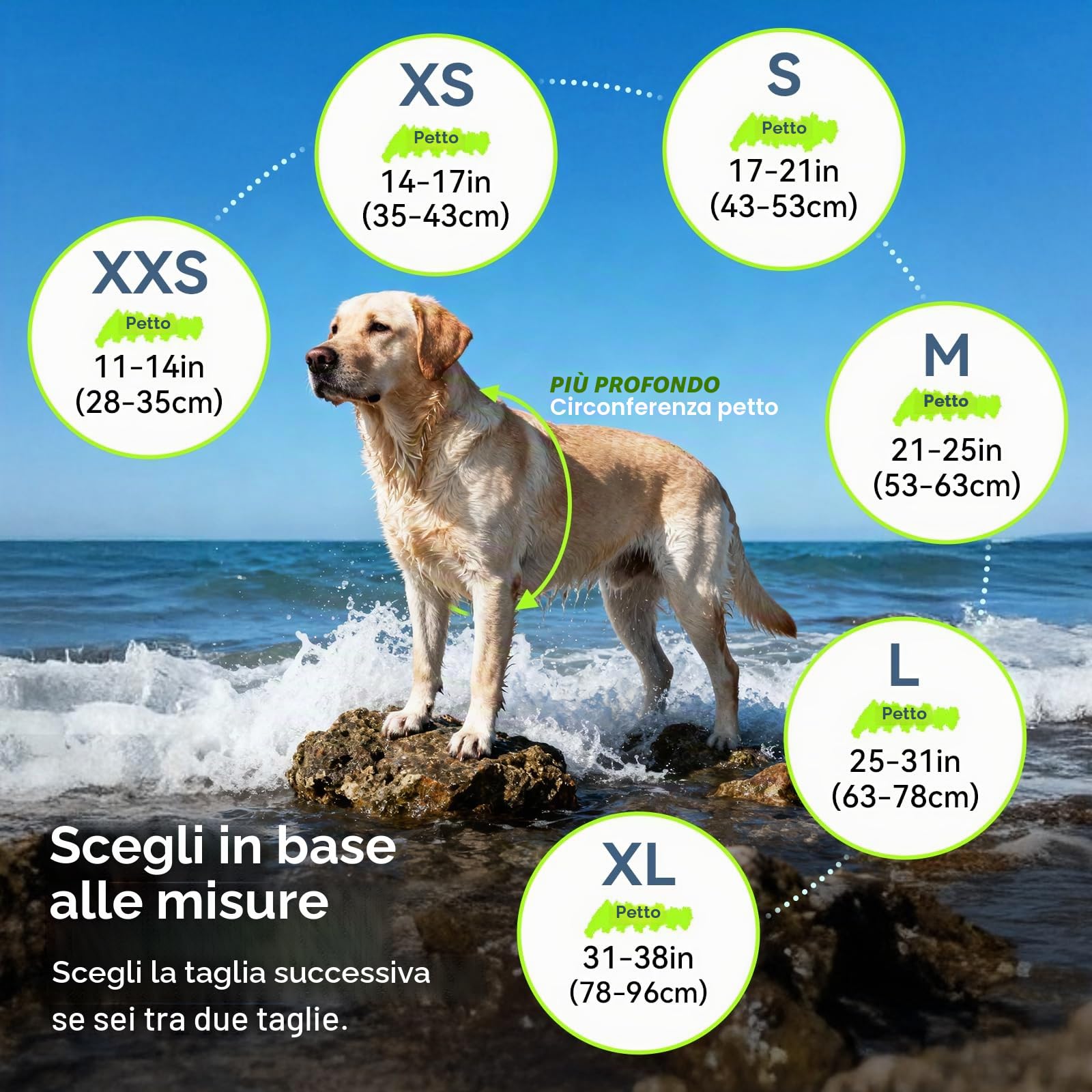 vivaglory Giubbotto salvagente per cani, doppia chiusura con velcro e fibbia regolabile | Giubbotto di salvataggio con poggiatesta anteriore per nuotare, ripstop e galleggiamento per cani